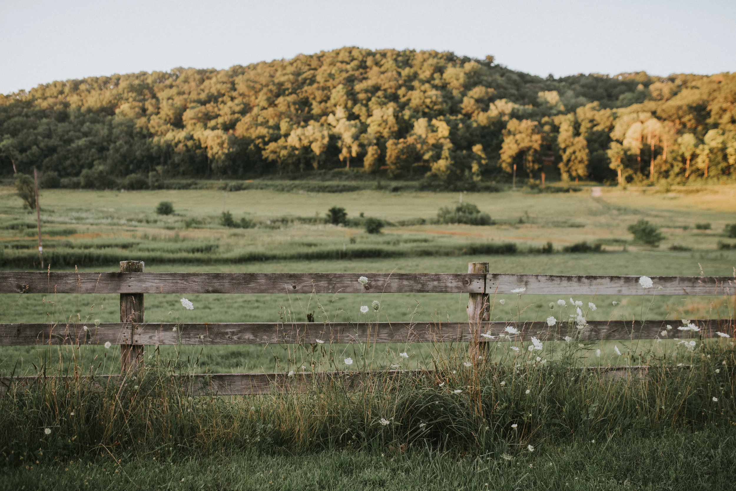 Cate_Family_Farm_Wisconsin-118.jpg