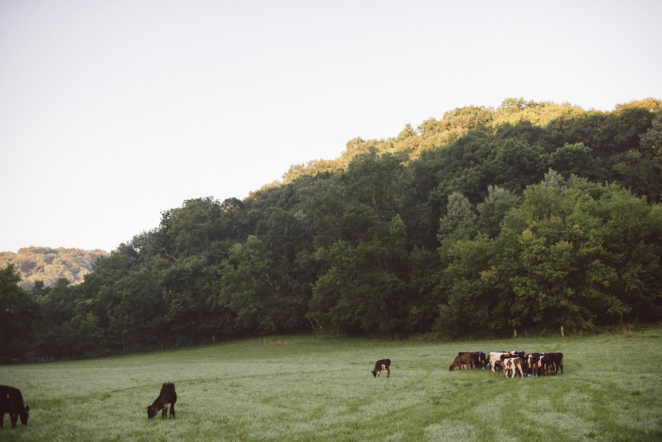 Cate_Family_Farm_Wisconsin-123.jpg