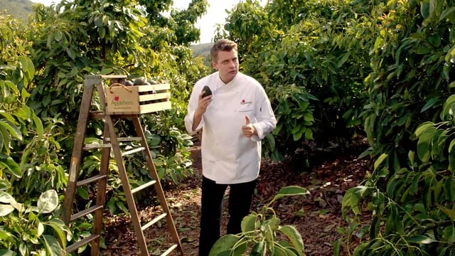 Applebee's // Summer Avocado