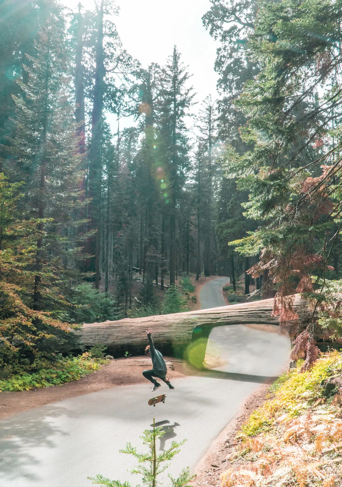 Squarespace Gallery-12.jpg