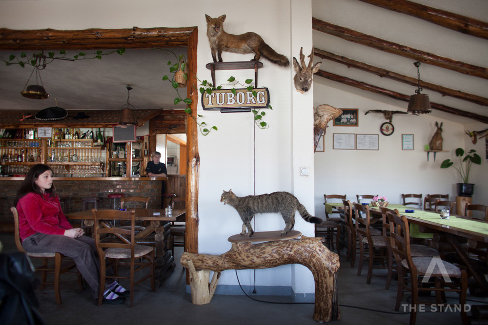  A teenage girl watches television in a bar and restaurant, between Doboj and Tuzla. April 2012. Greg Marinovich/The Stand 