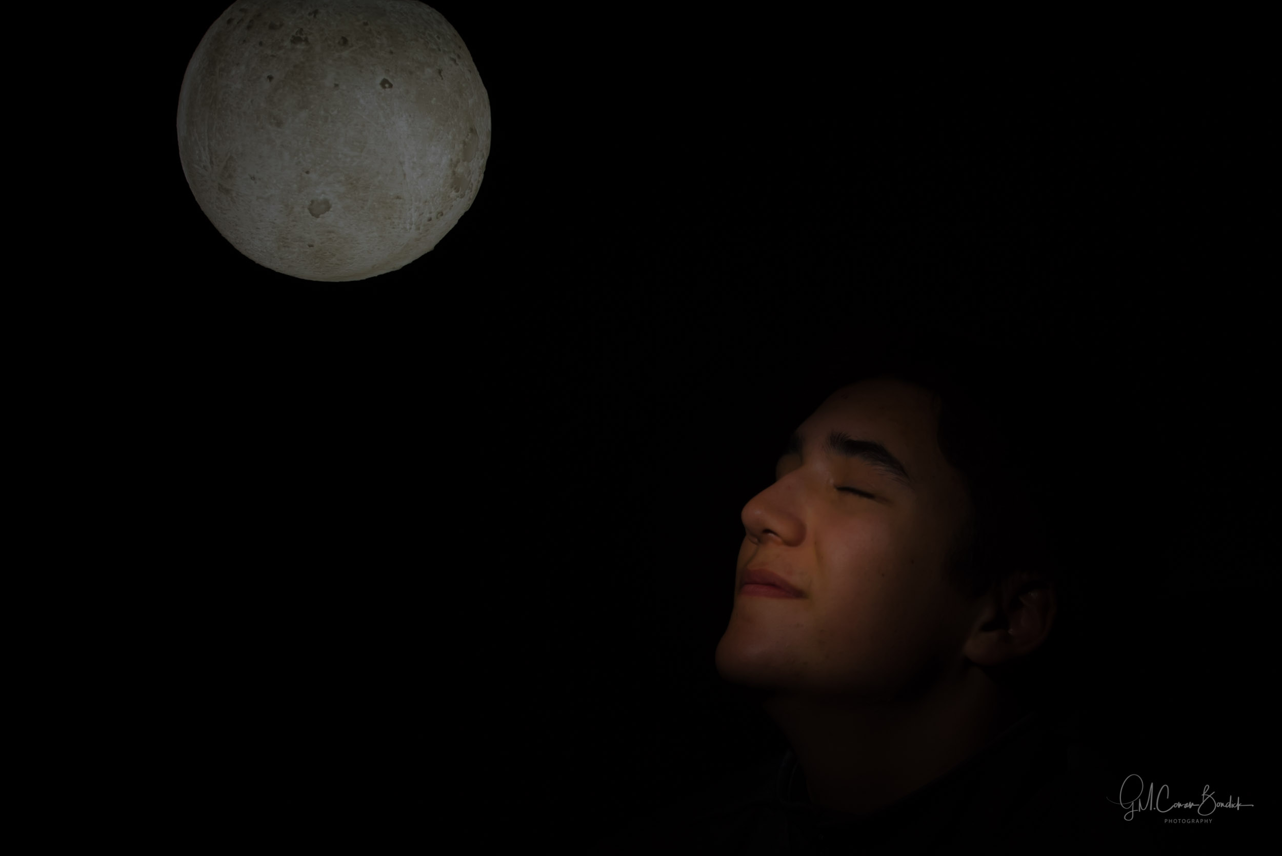 Rabbit on the Moon