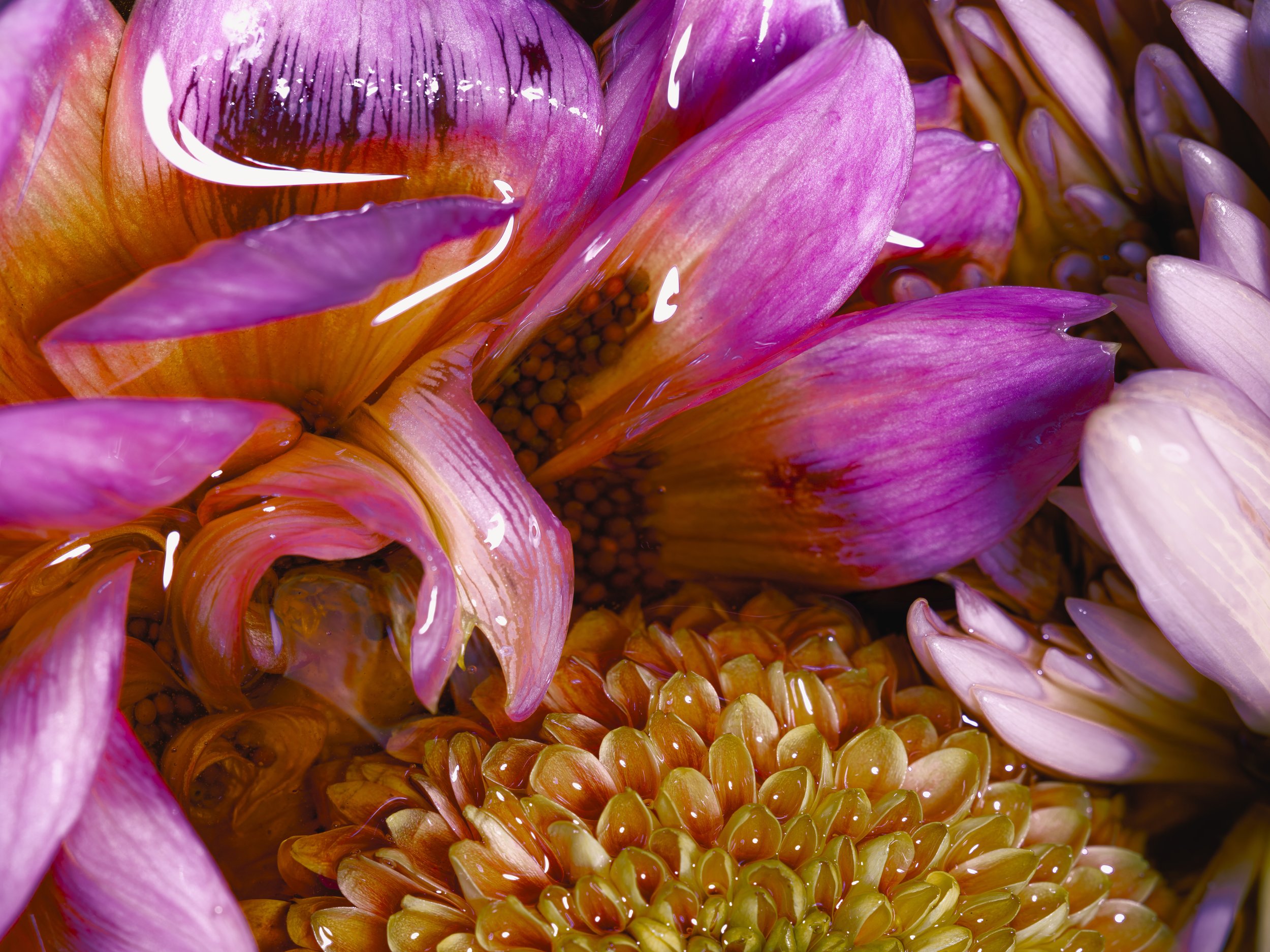 a floral affair.jpg