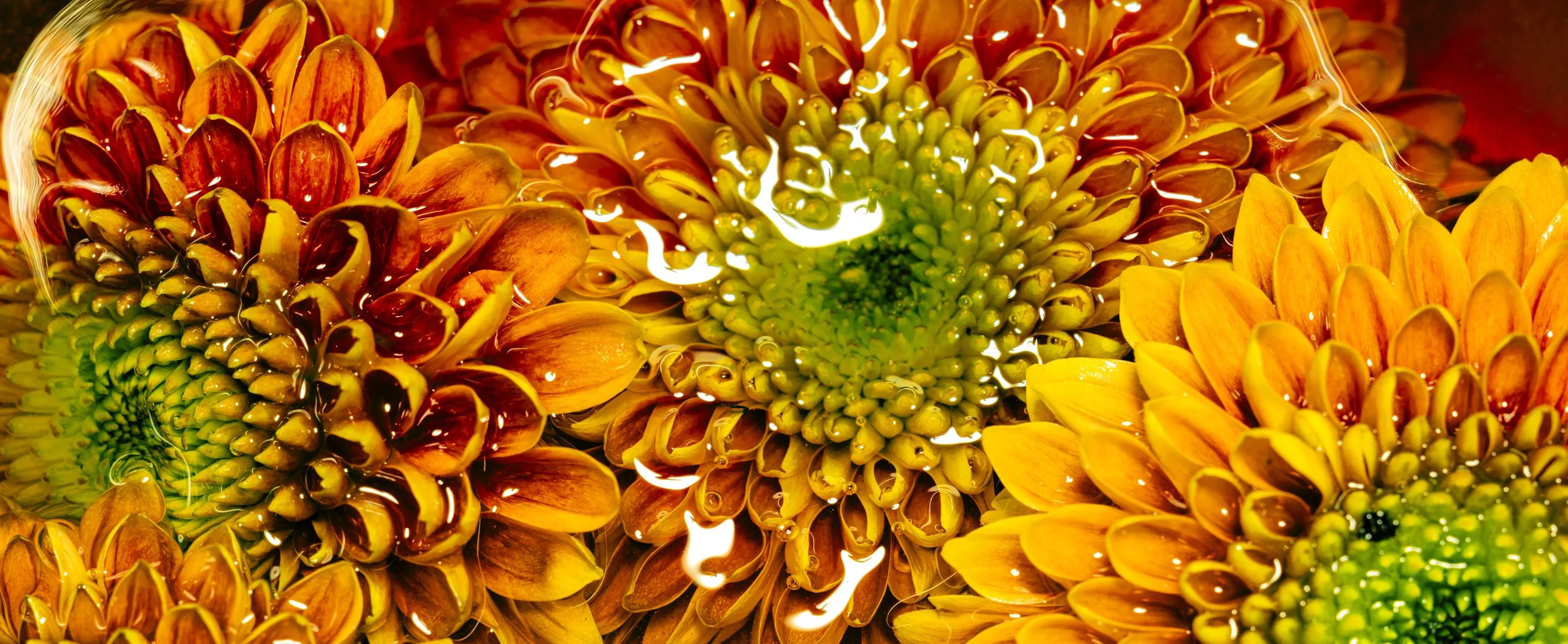 sunburst.jpg