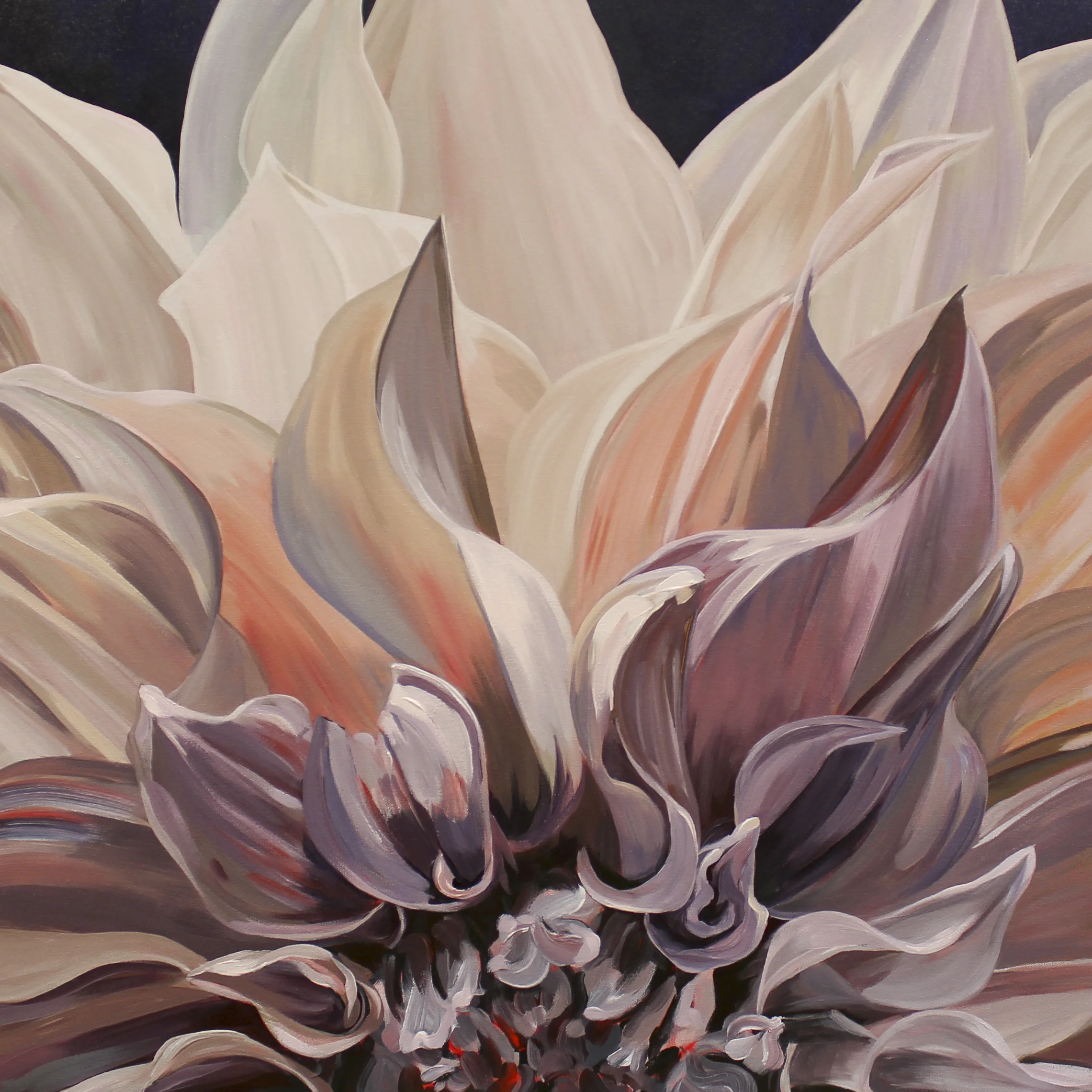 Market Dahlia