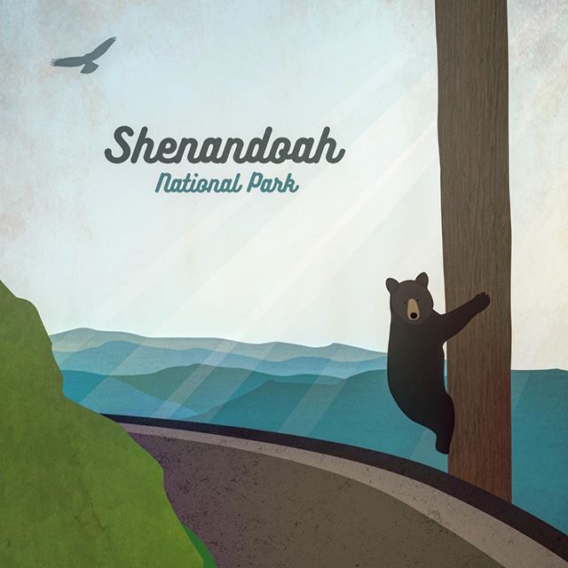 Greetings from Shenandoah National Park! One of our go.to places to hang out with bears, trees, and waterfalls. .
.
.
.
.
.

#getoutside .

#illustration #photoshop #vectorart #flatdesign #at #backpacking #digitalillustration #digitalart #illustrator