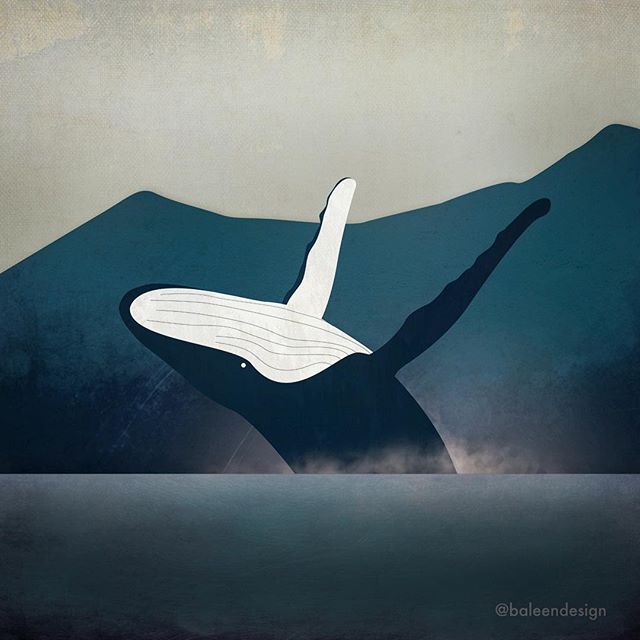 Happy Friday, friends!
.
.
.
.
.
.
.
.
. .
.
.
.
.
.
.
.
. 
#graphicdesign #illustration #photoshop #vectorart #flatdesign #digitalillustration #digitalart #whaleart #illustrator #graphicdesigner #illustrationart #graphicdesigndaily #illustrationdail