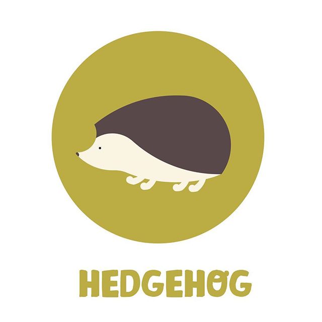 Henry the hedgehog
.
.
.
.
.
.
.
. .
.
.
. 
#illustrationart #illustration #adobeillustrator #vectorart #digitalillustration #digitalart #illustrator #graphicdesigner #digitalpainting #branding #logo #birdstagram #graphicdesigndaily #illustrationdail