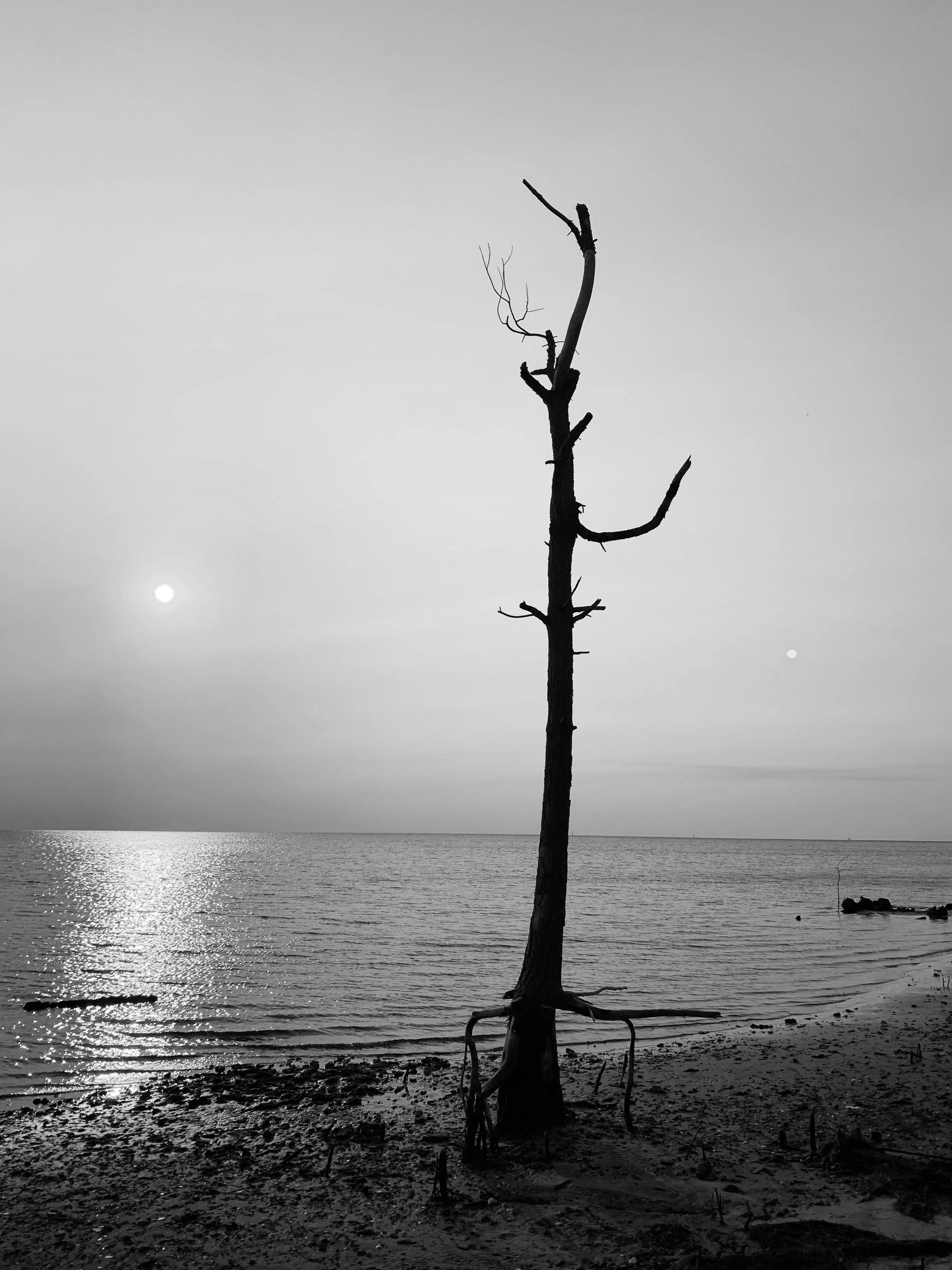 [Albermarle Sound, Rodanthe]