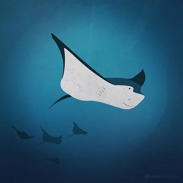 Ray!
.
.
.
.
.
.
.
.
.
. .
.
.
.
.
.
.
.
.
.
.
. 
#graphicdesign #illustration #photoshop #vectorart #flatdesign #digitalillustration #digitalart #illustrator #graphicdesigner #illustrationart #graphicdesigndaily #illustrationdaily #gfx_daily #artist