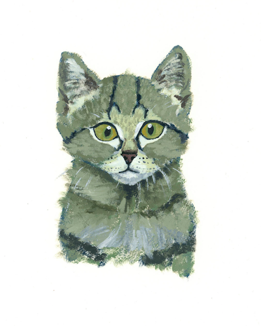 Cat Portrait Compressed.png
