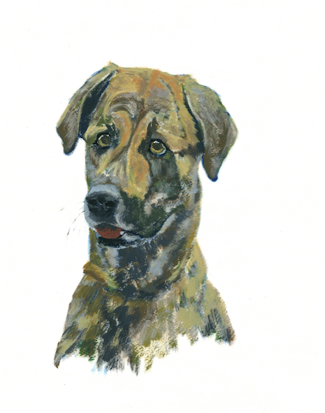 Tara Dog Compressed.png