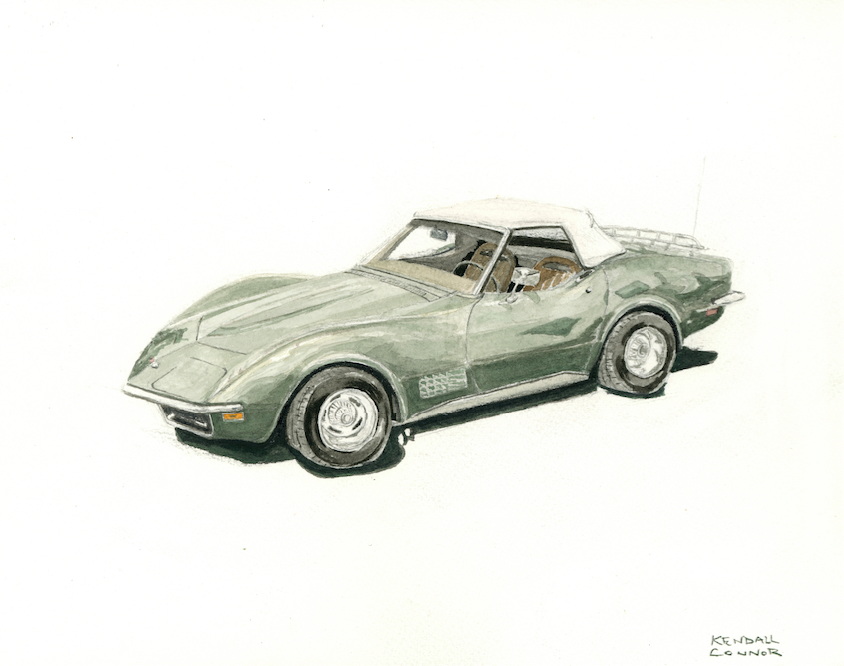 Stingray Compressed.png