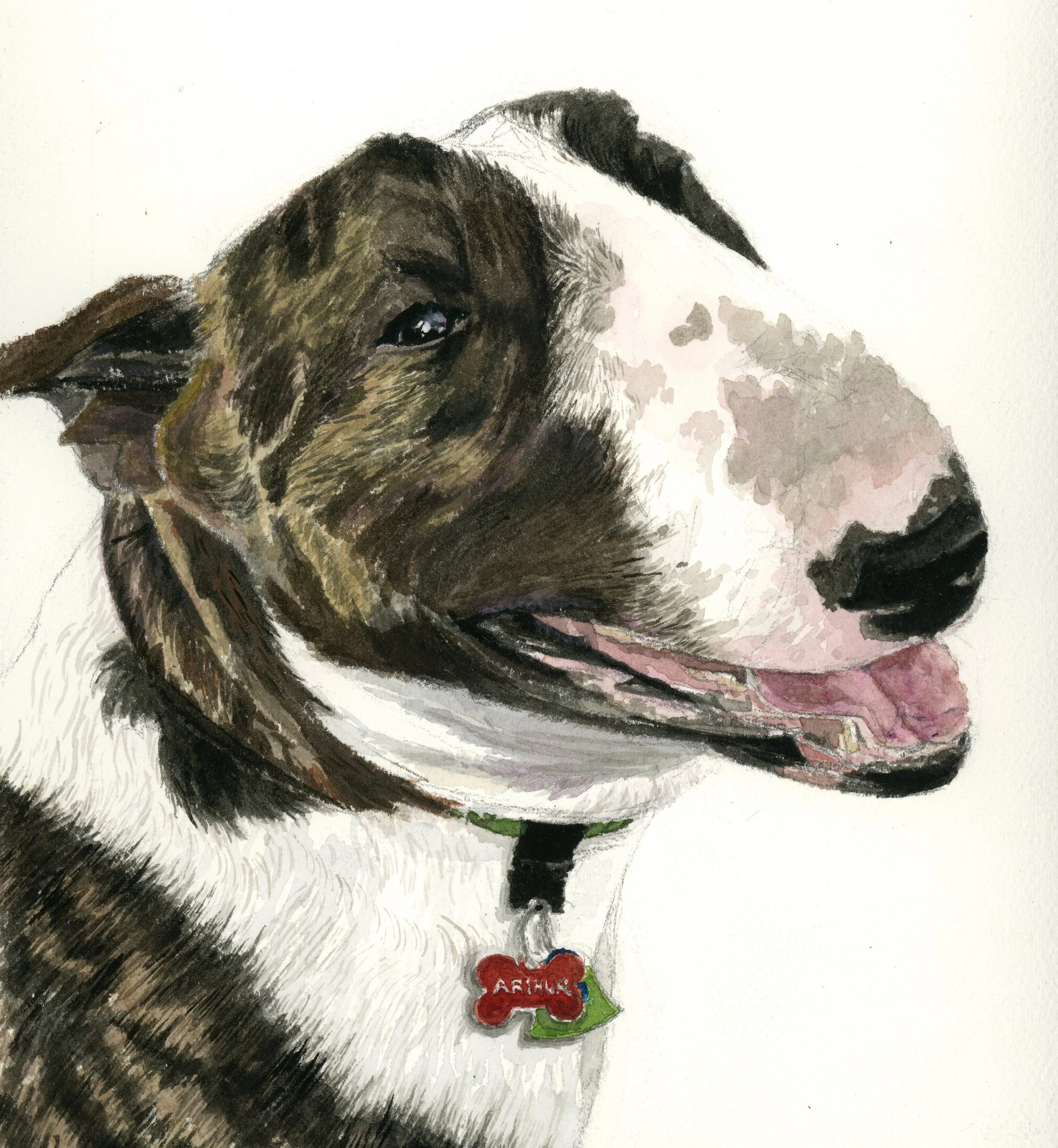 Arthur Dog Portrait copy.jpg