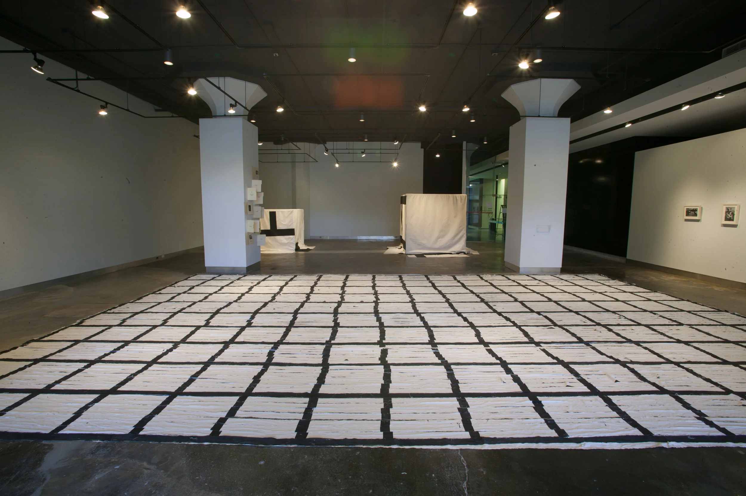 Eugenio Espinoza, Negativa Moderna, 2007 Acrylic on unprimed canvas, 28 x 19 feet Installation at Institute of Visual Arts, University of Wisconsin Collection: Cisneros Fontanals Art Foundation, Miami