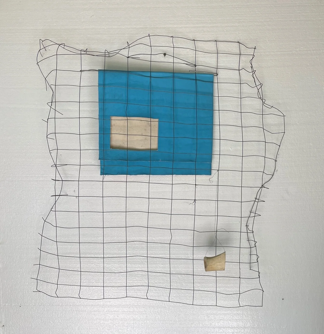   Search , 2017  Acrylic on canvas, bone and metal grid  36 x 35 in (91.2/1 x 89 cm) 