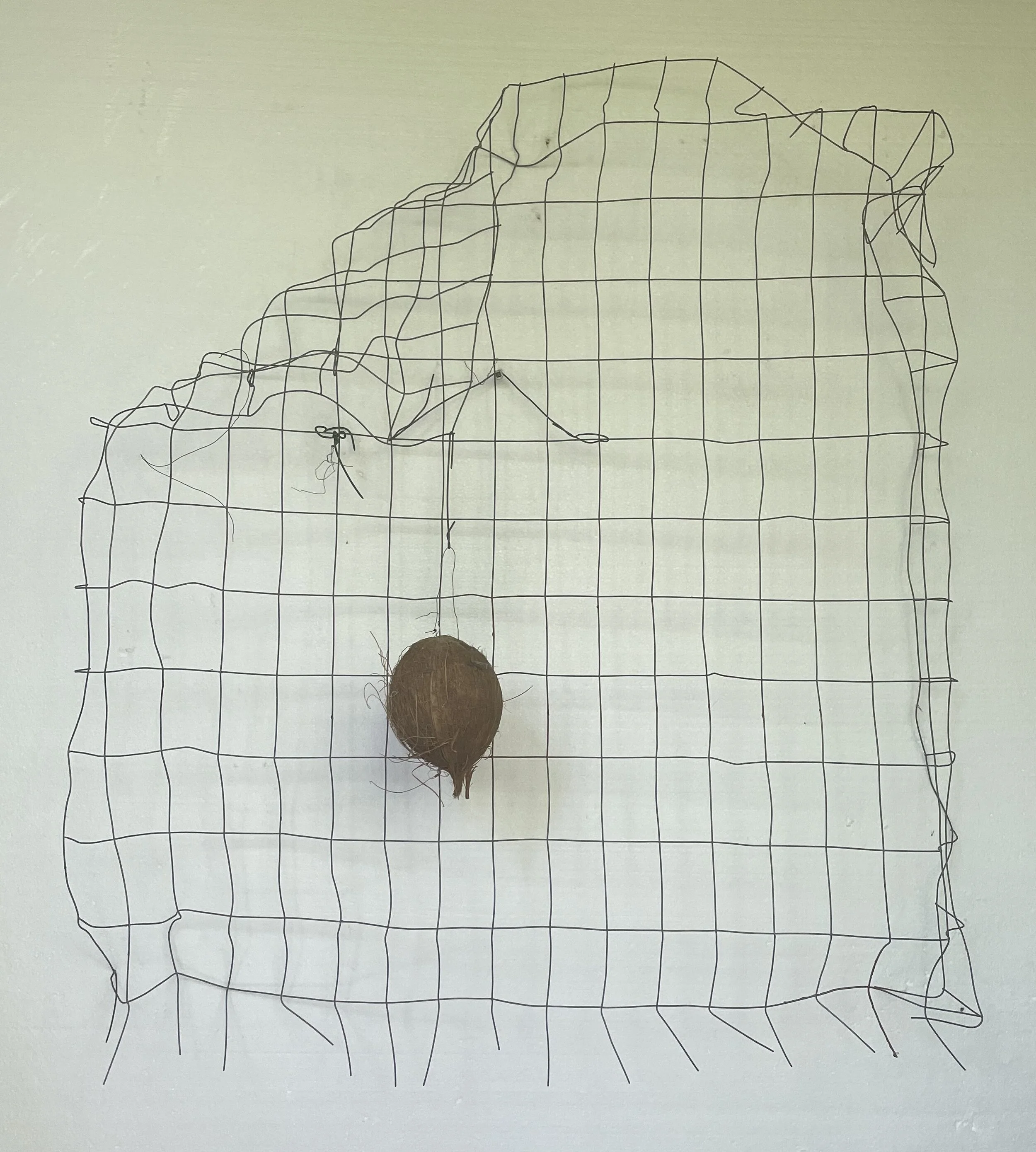   I was reading , 2017  Wire and coconut on metal grid  35 x 35 in (89 x 89 cm) 
