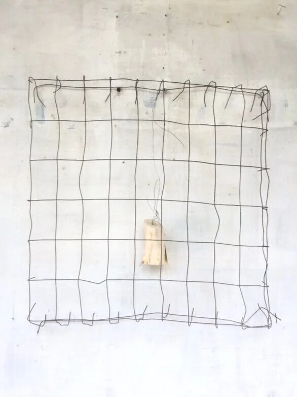   Homage a Gego, 2016   Metal grid, wire, bone  19 x 20 in (48 x 51 cm) 