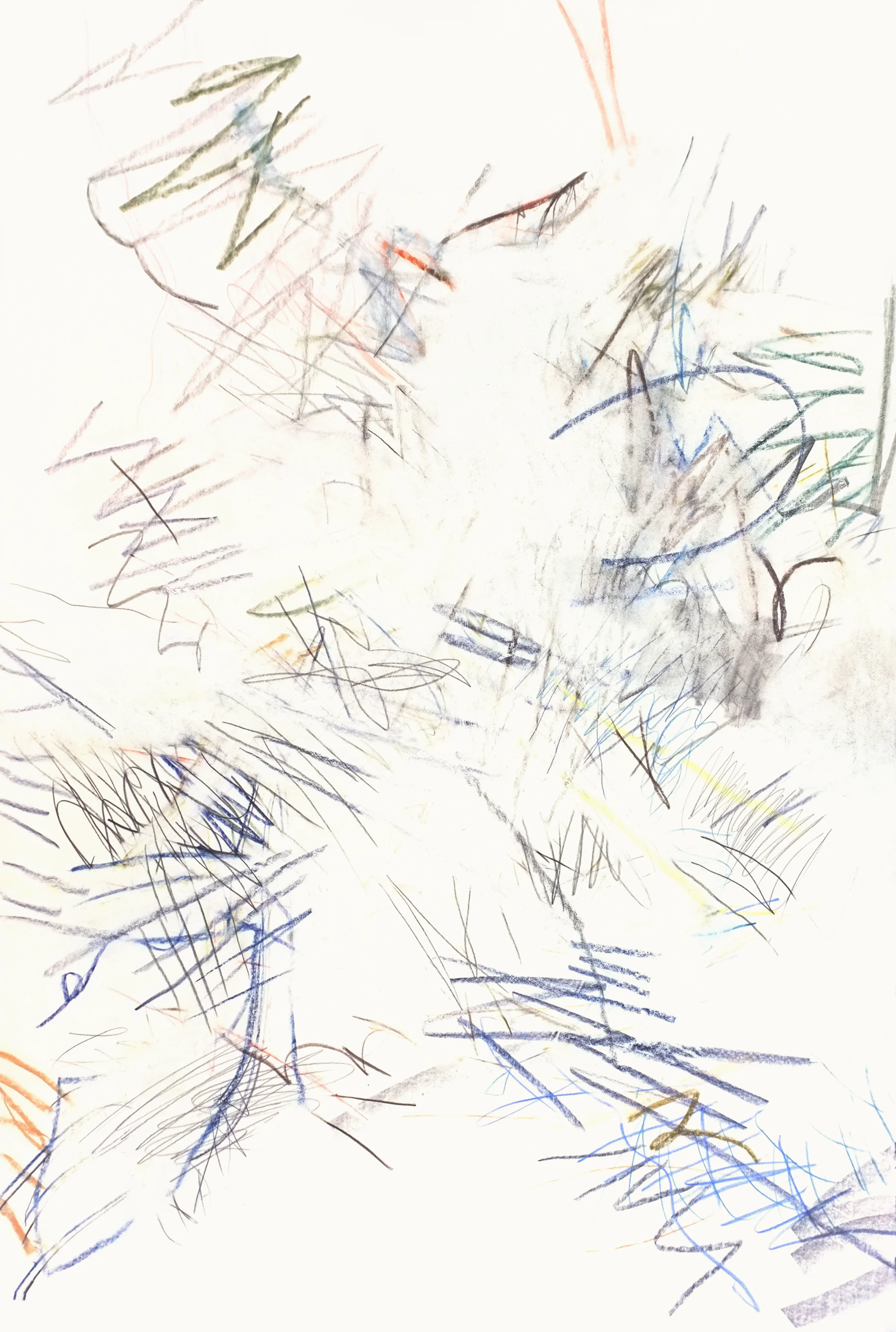 Untitled (cm.16.12), 2016 colored pencil, graphite on paper 37 13/16 x 25 5/16 inches