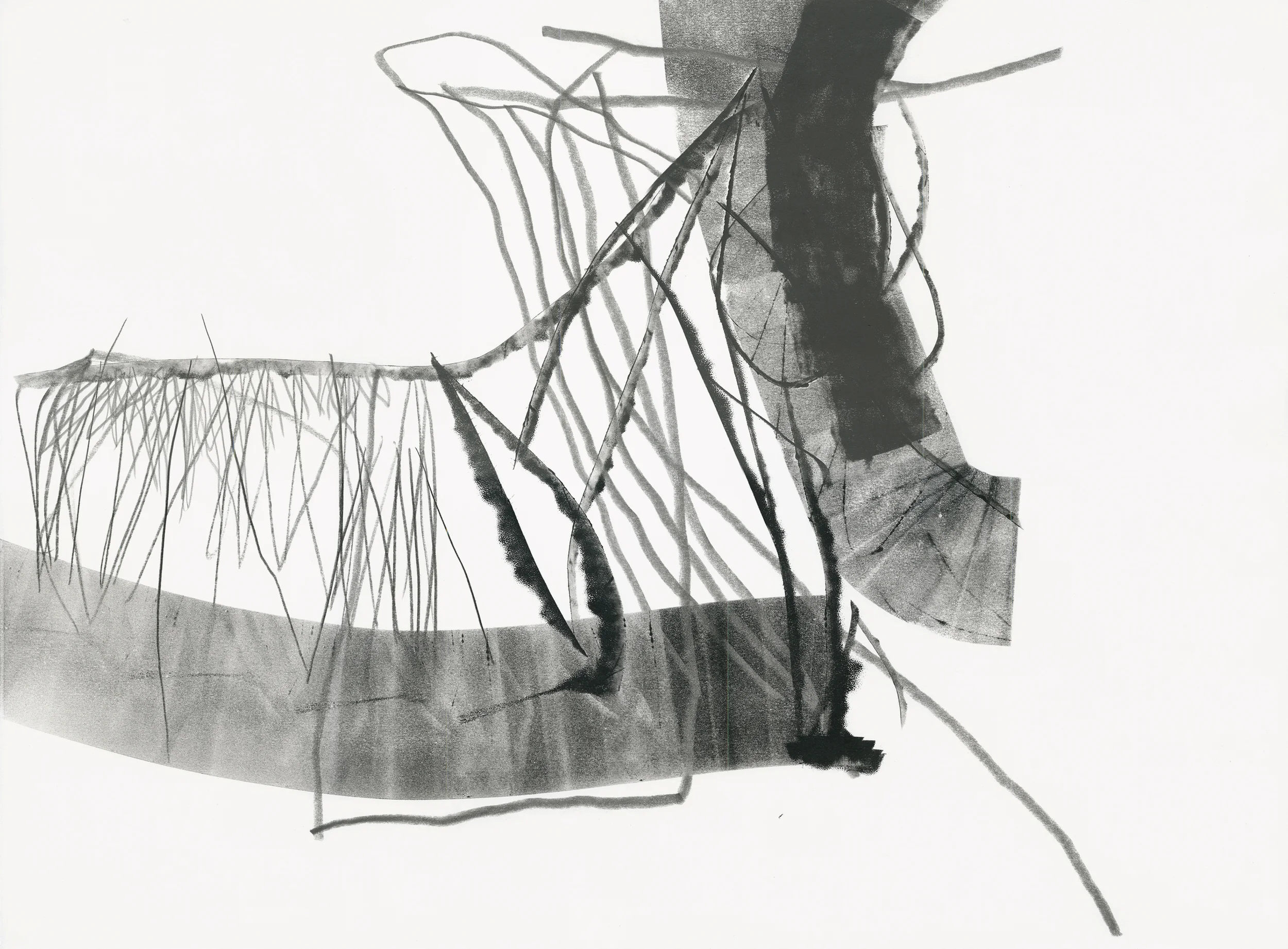 Untitled (rd.08.31), 2008 ink, charcoal, graphite on paper 22 x 30 inches