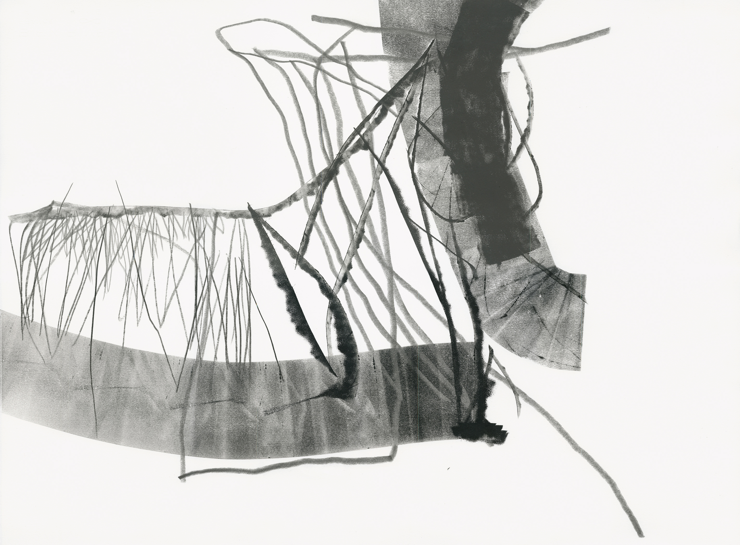   Untitled (rd.08.31), 2008 ink, charcoal, graphite on paper 22 x 30 inches   