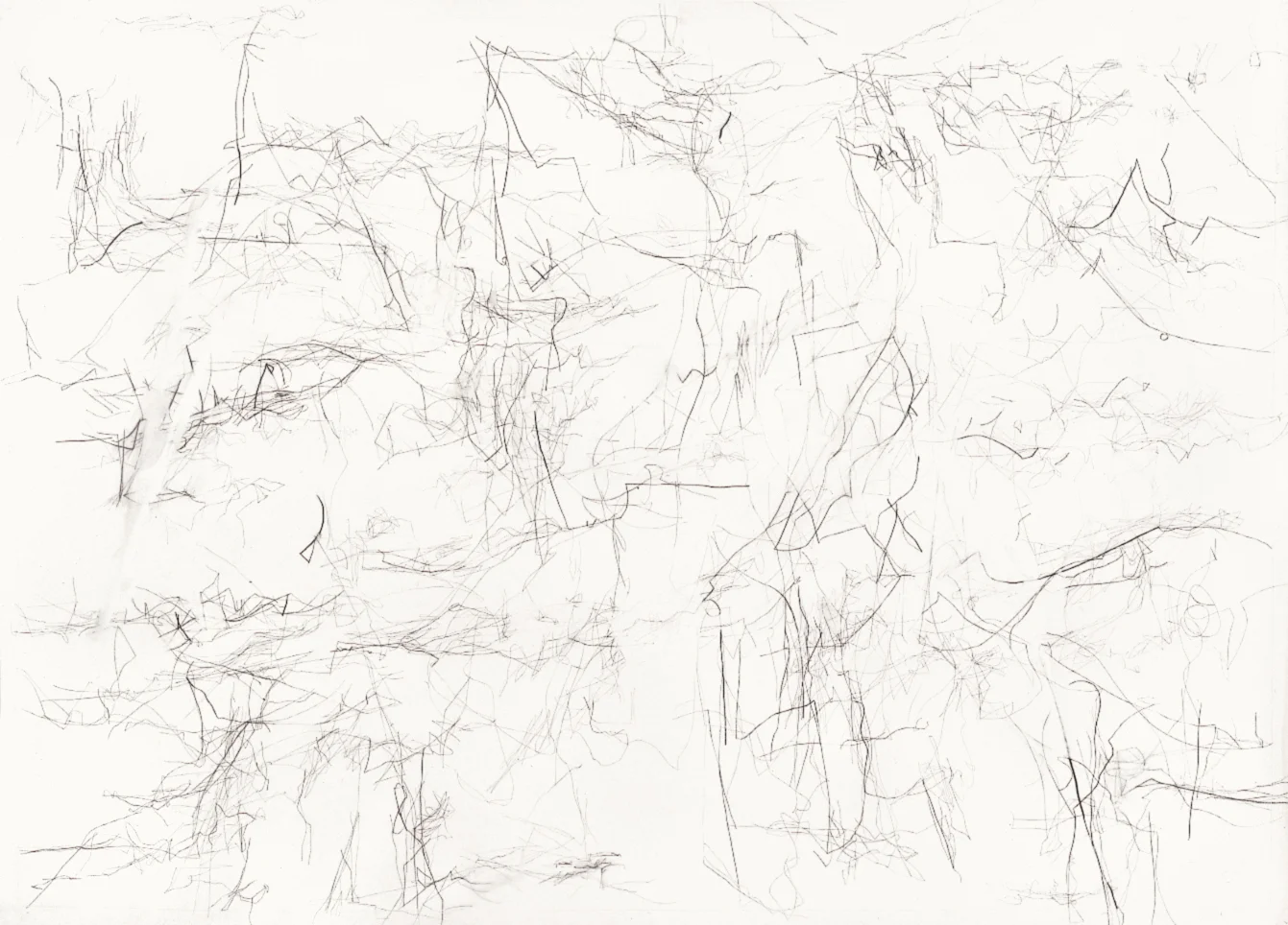 Untitled (L.01.2), 2001 charcoal, rabbit skin glue on paper 45 3/4 x 63 3/4 inches Collection: Museum of Modern Art