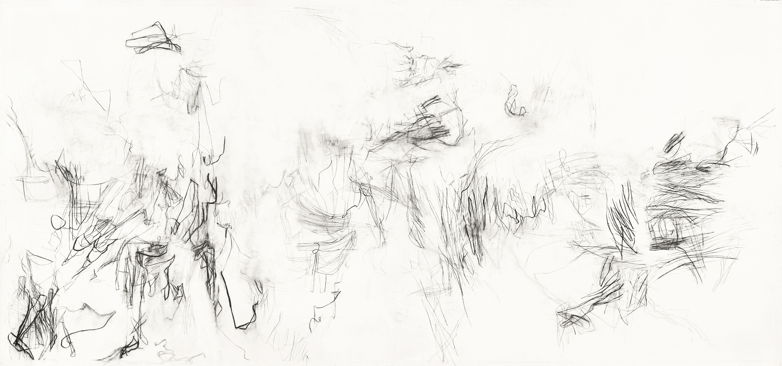   Untitled (L.00.1), 2000 charcoal, rabbit skin glue on paper 108 x 48 inches Collection: The Bryant Group   