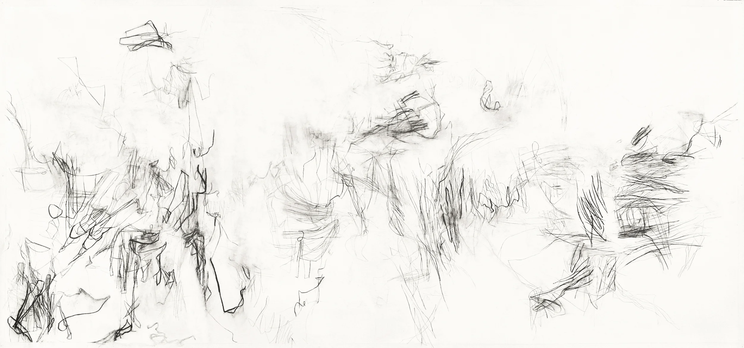Untitled (L.00.1), 2000 charcoal, rabbit skin glue on paper 108 x 48 inches Collection: The Bryant Group