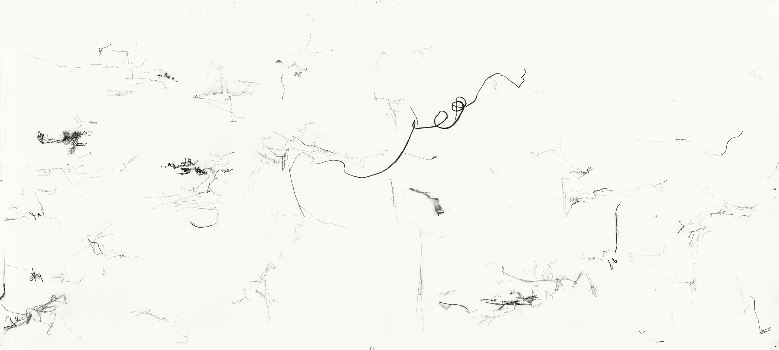  Untitled (L.98.9), 1998 charcoal, rabbit skin glue on paper 48 x 107 inches   