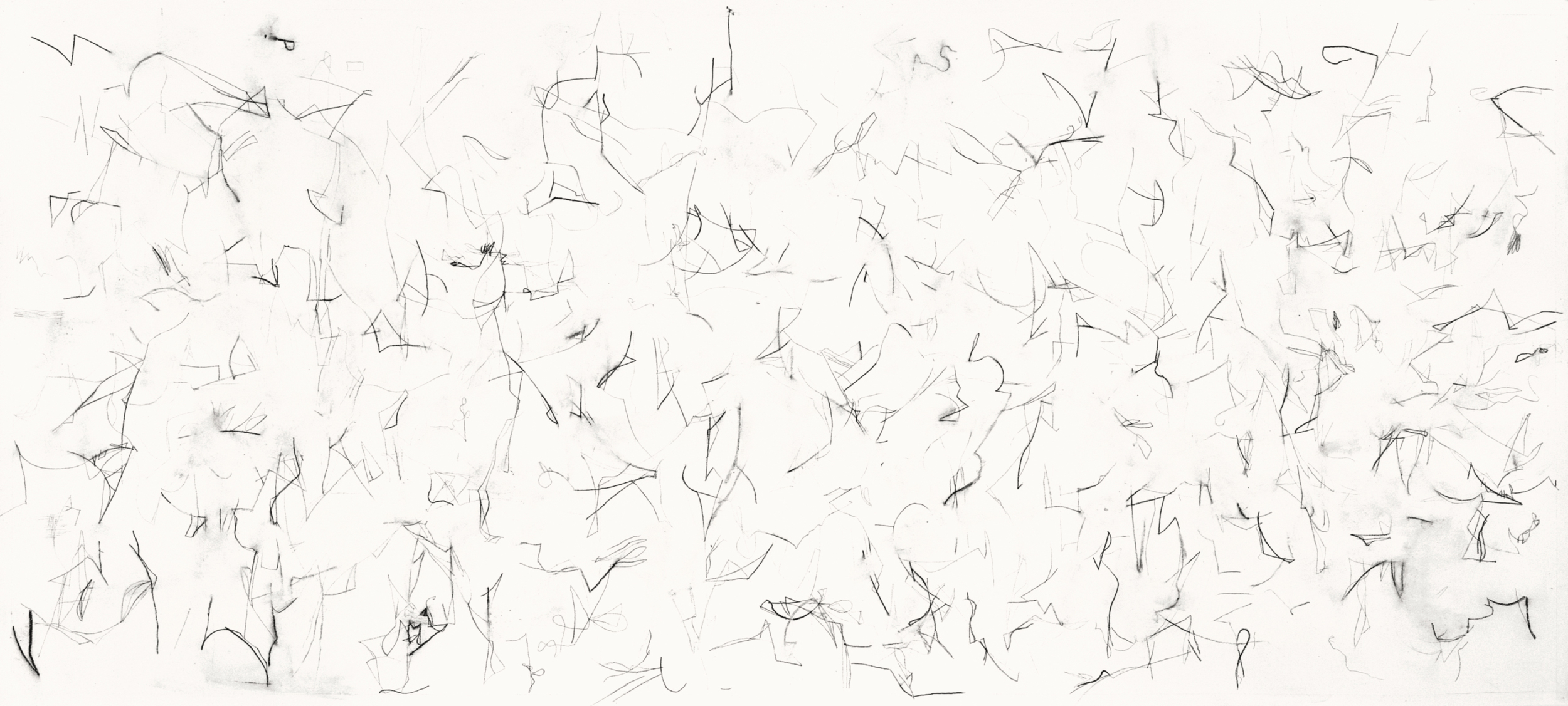   Untitled (L.99.1), 1999 charcoal, rabbit skin glue on paper ca. 48 x 107 inches Collection: Sarah-Ann and Werner H. Kramarsky   