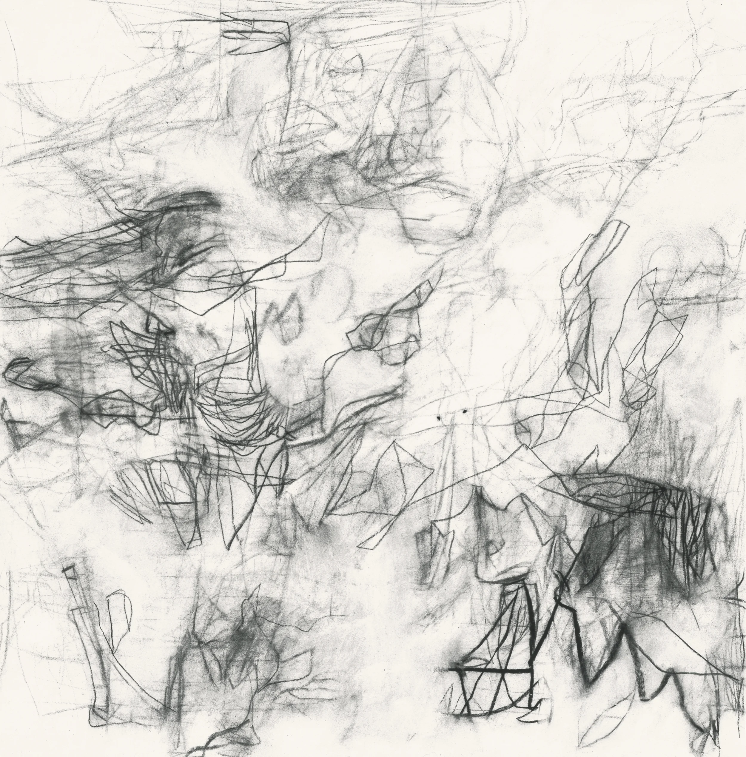 Untitled (sc.00.22), 2000 charcoal, rabbit skin glue on paper 18 3/8 x 18 inches Collection: The Bryant Group