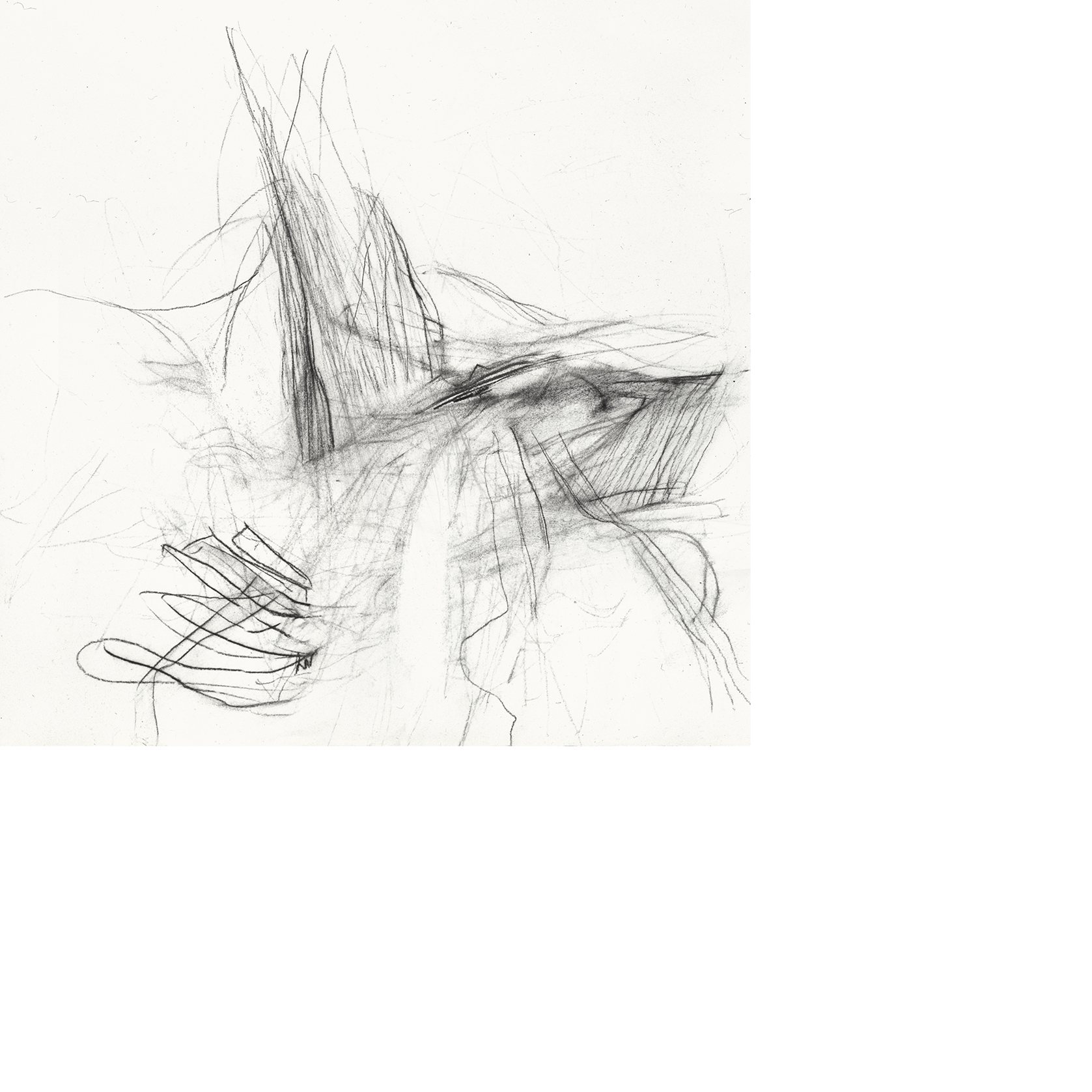 Untitled (s.94.9), 1994 charcoal, rabbit skin glue on paper 10 x 10 1/2 inches