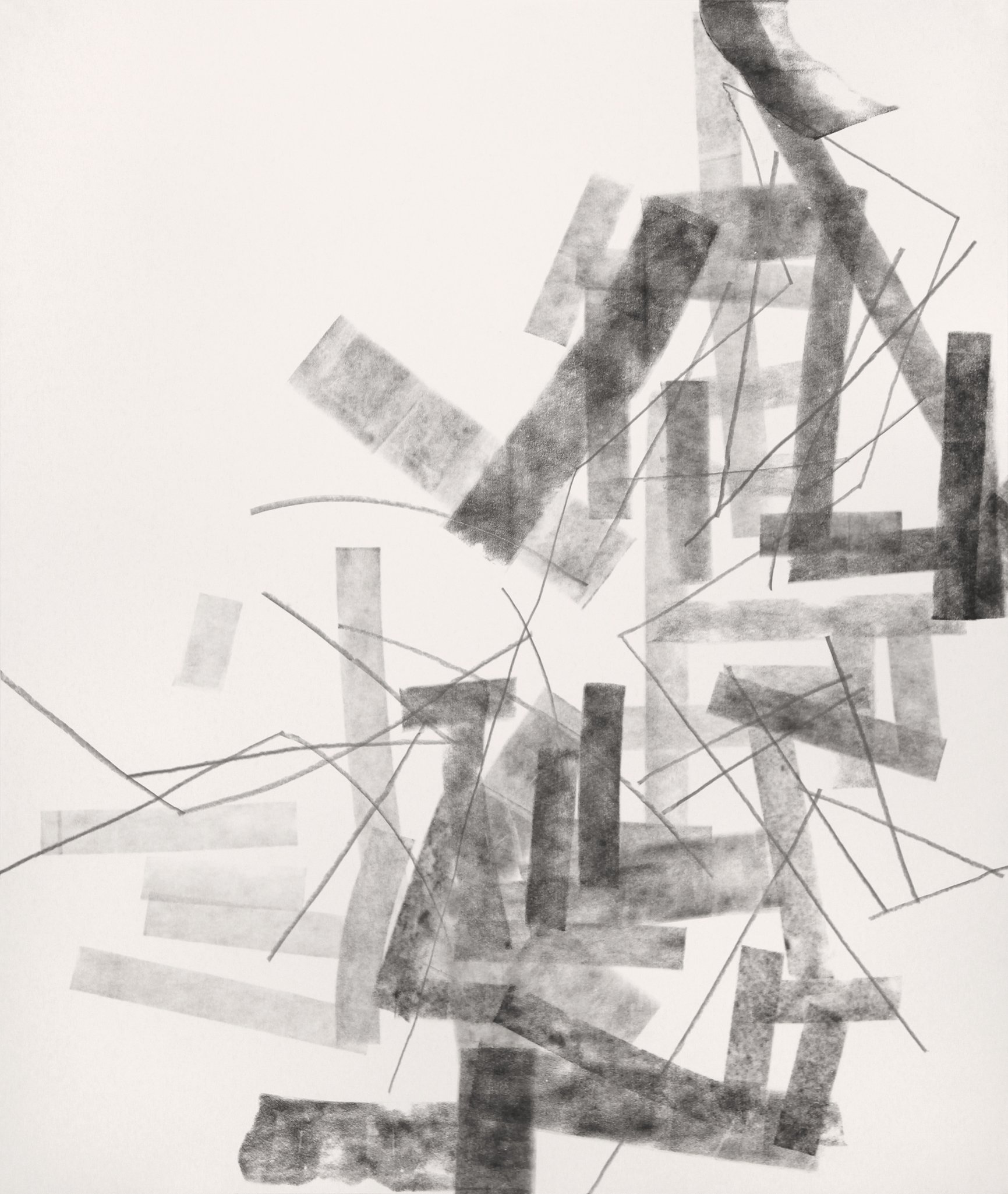  Untitled (rdl.12.13), 2012 block printing ink and graphite on paper 50 x 42 inches  