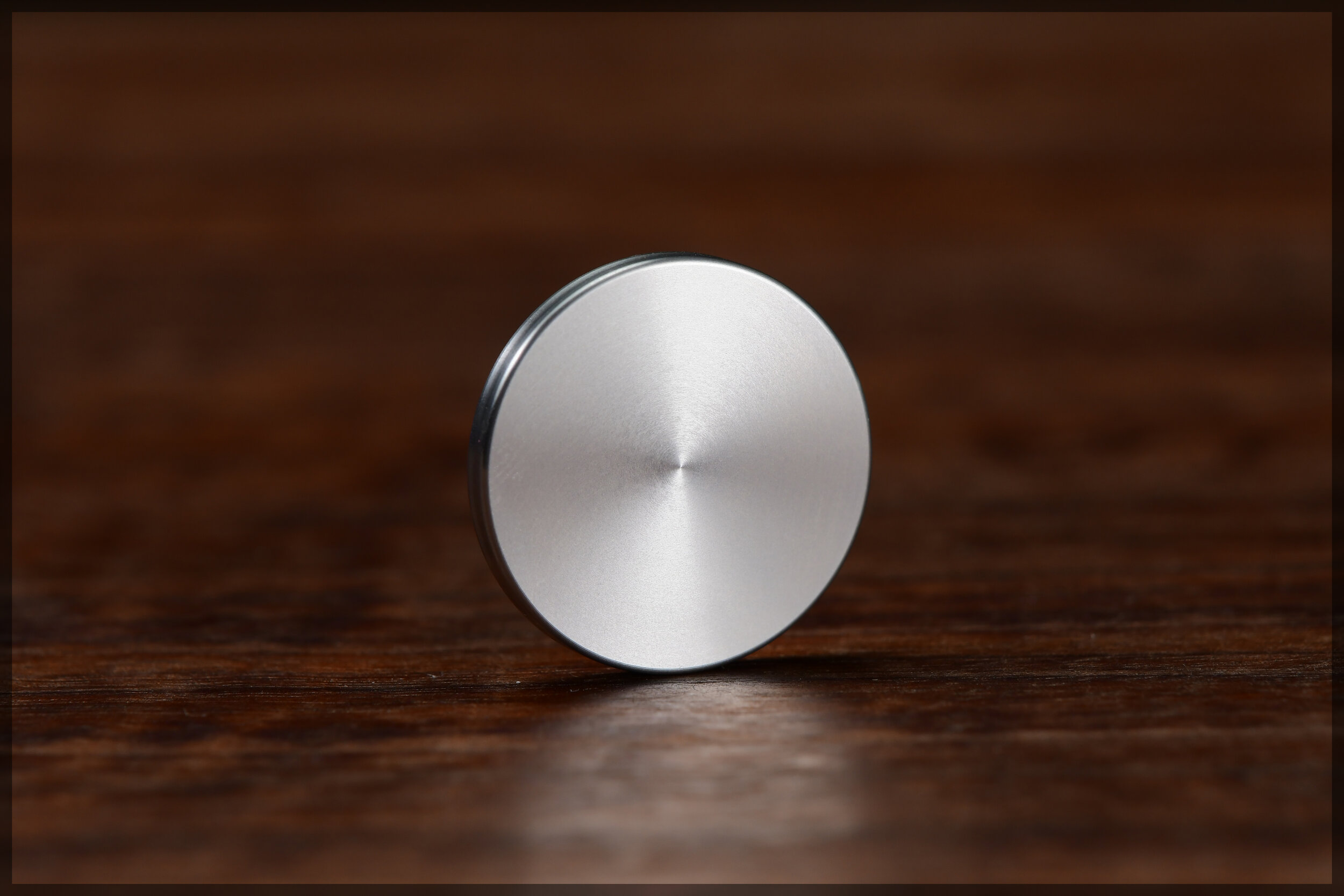 Stainless steel blank coin for the Gambit