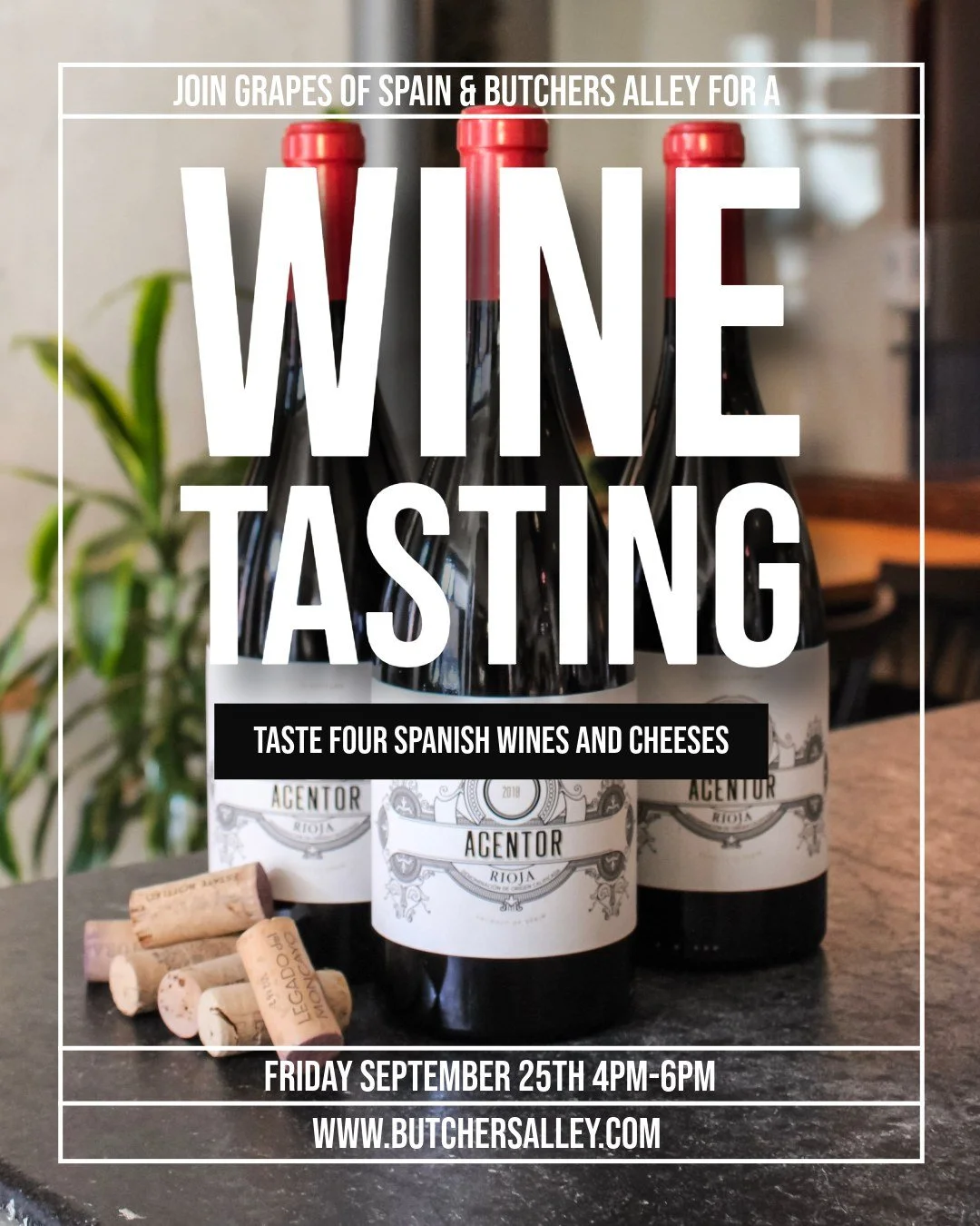 Friday September 25th we'll be pouring four Spanish wines paired with four of our favorite cheeses and you're invited to join us. 🍷🧀

Kick off your weekend with perfectly paired tastings that capture the deep tradition of Spanish wines and cheesema