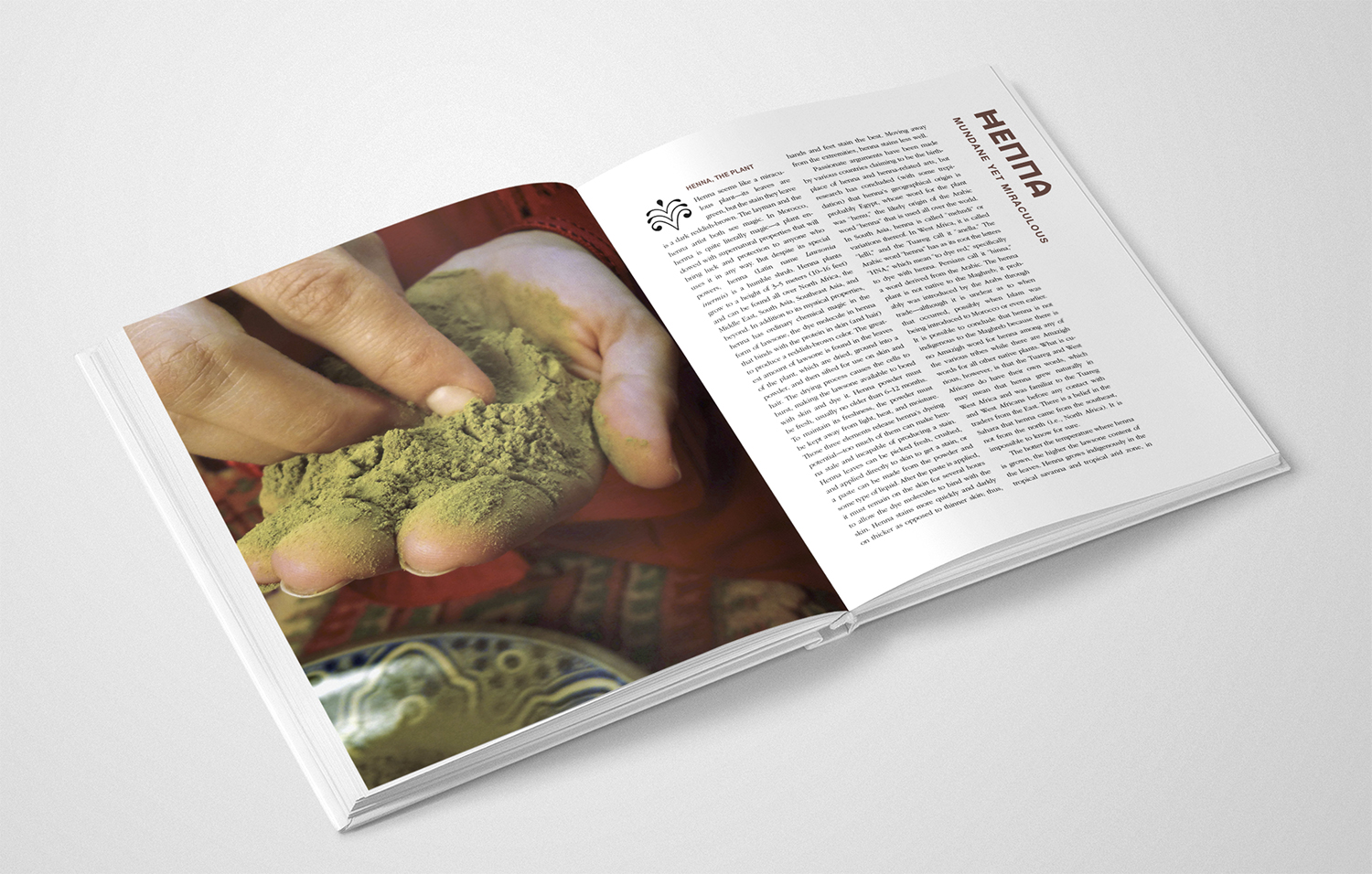 Moor_spread_8-9 copy.jpg
