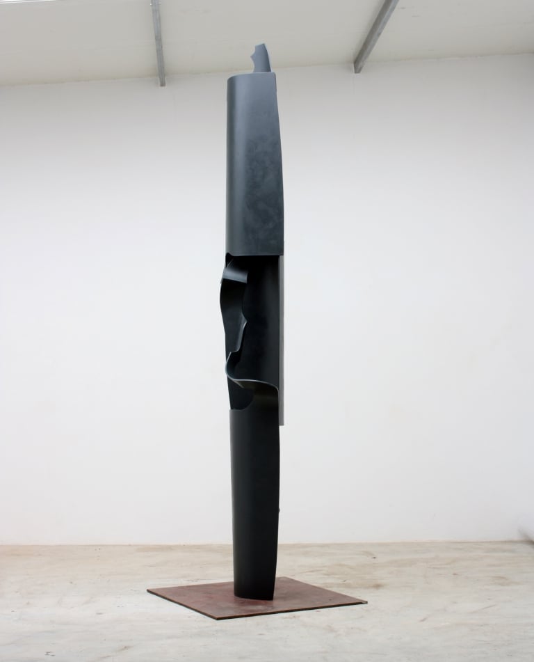 1019a- 3.10x0.55x0.35m 2010.JPG