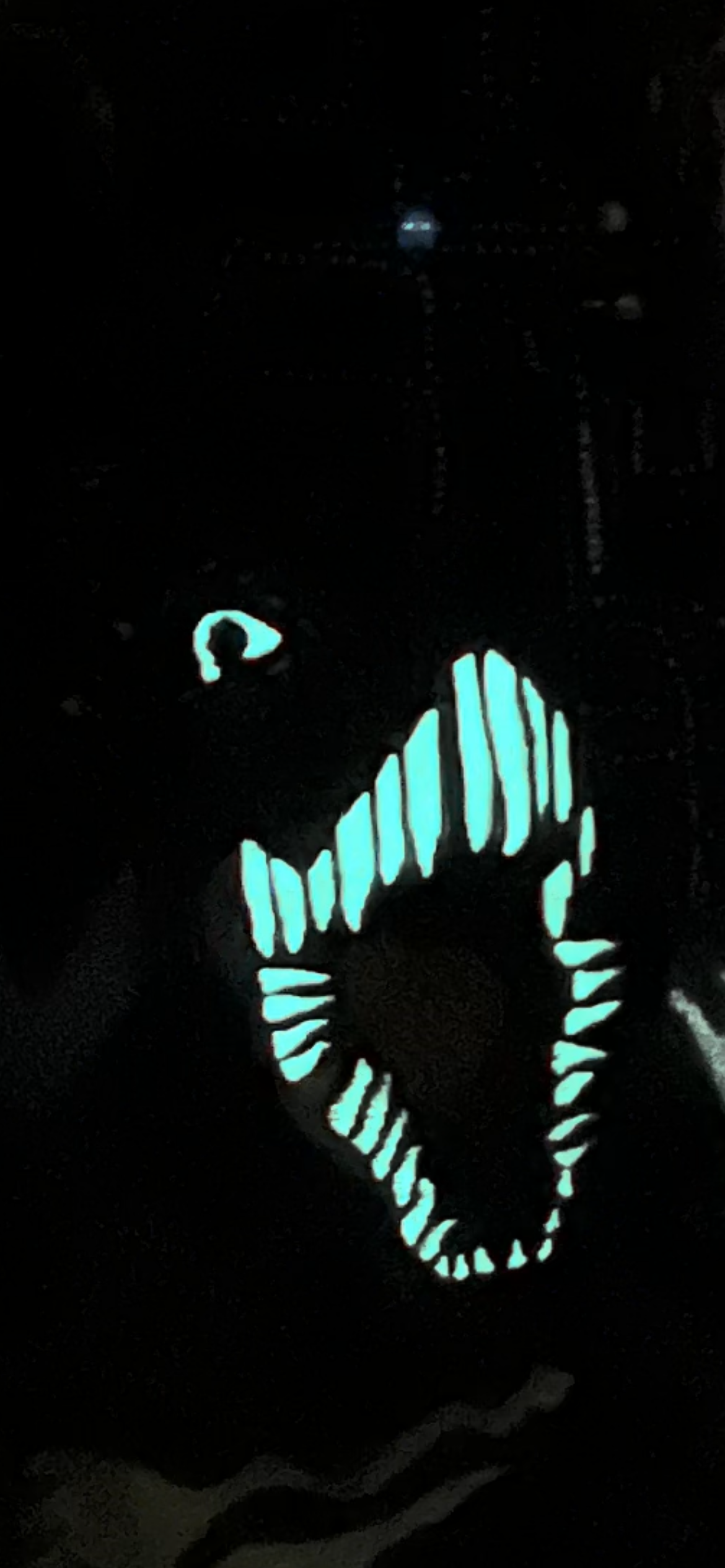 Doyle_ReignsSupreme_Glowdetail_2.PNG