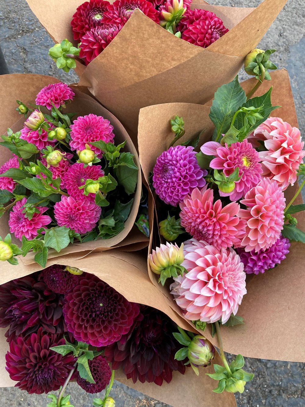 dahlia+bunches.jpg