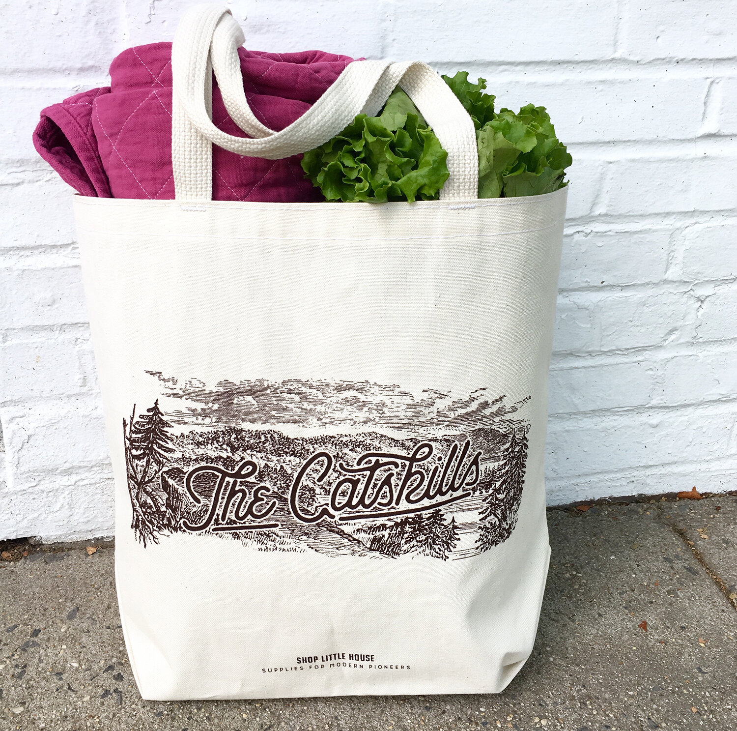 the_catskills_tote_bag1.jpg