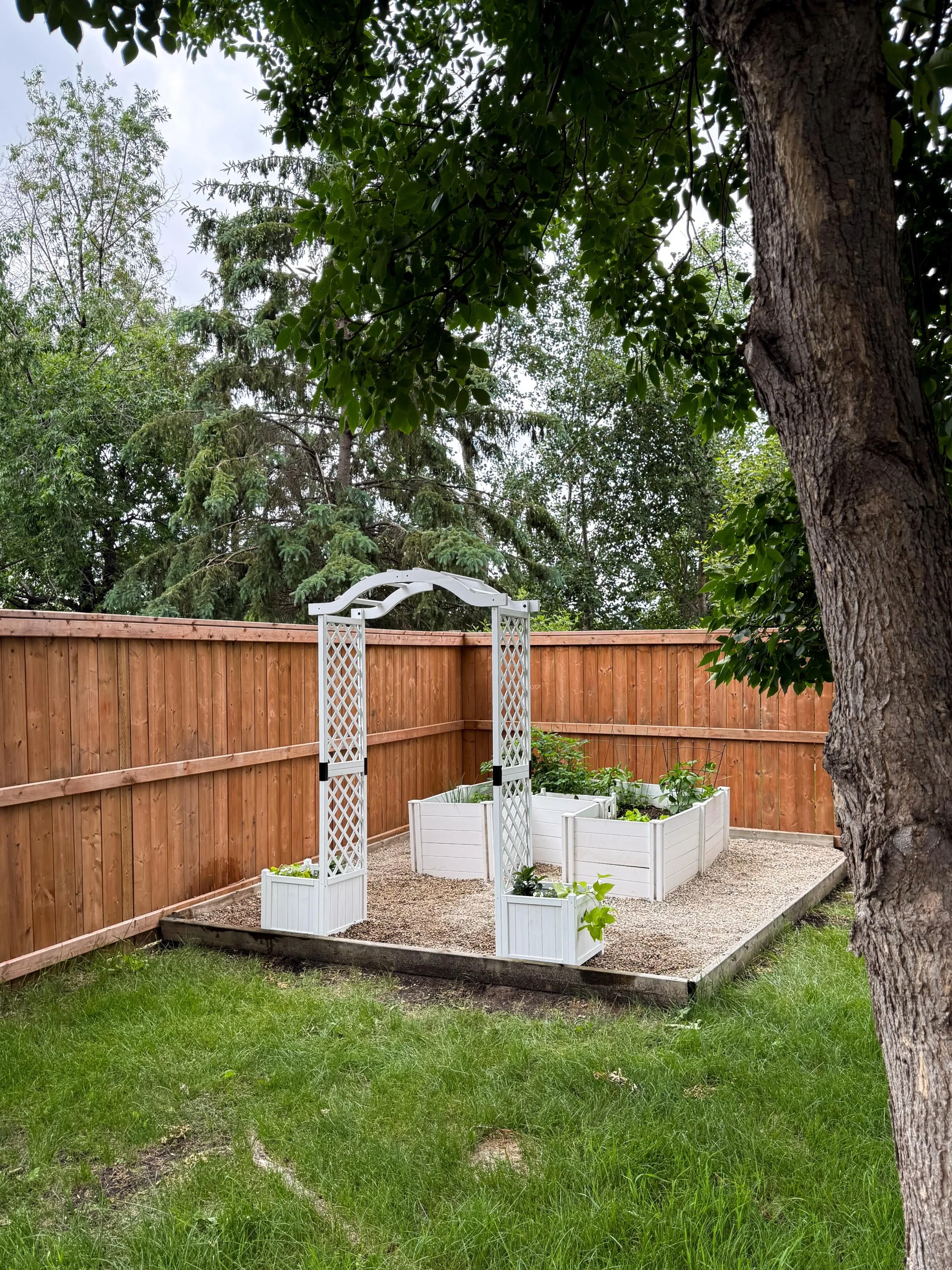 🪴 Garden Tranformation (so far)🪏

10 years ago if you said I&rsquo;d have a mini hobby garden in my own backyard I would&rsquo;ve said your crazy. This was my little spring project, cleaning up the garden corner. Theres a few more things I&rsquo;d 
