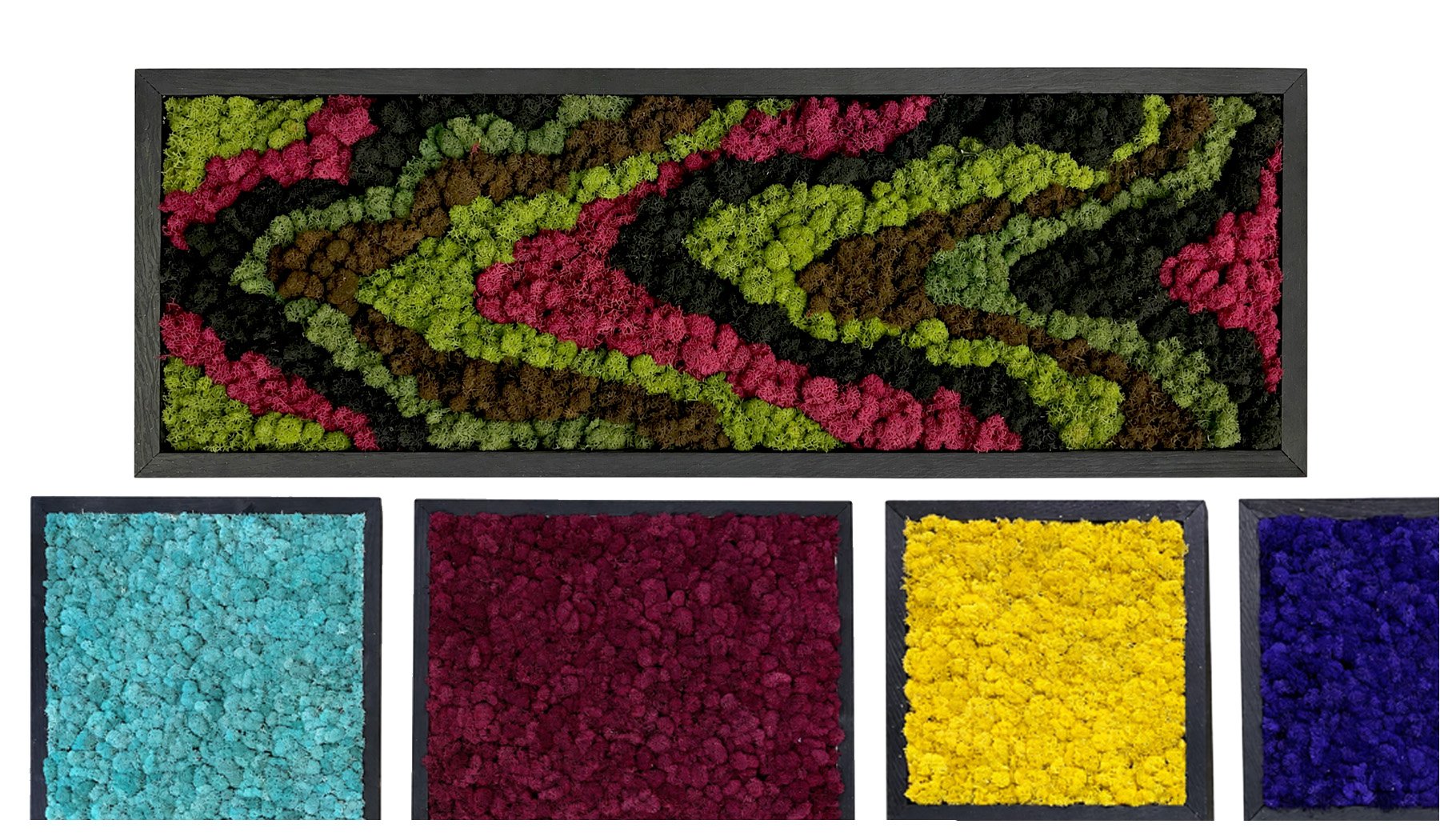 colored moss cover.jpg