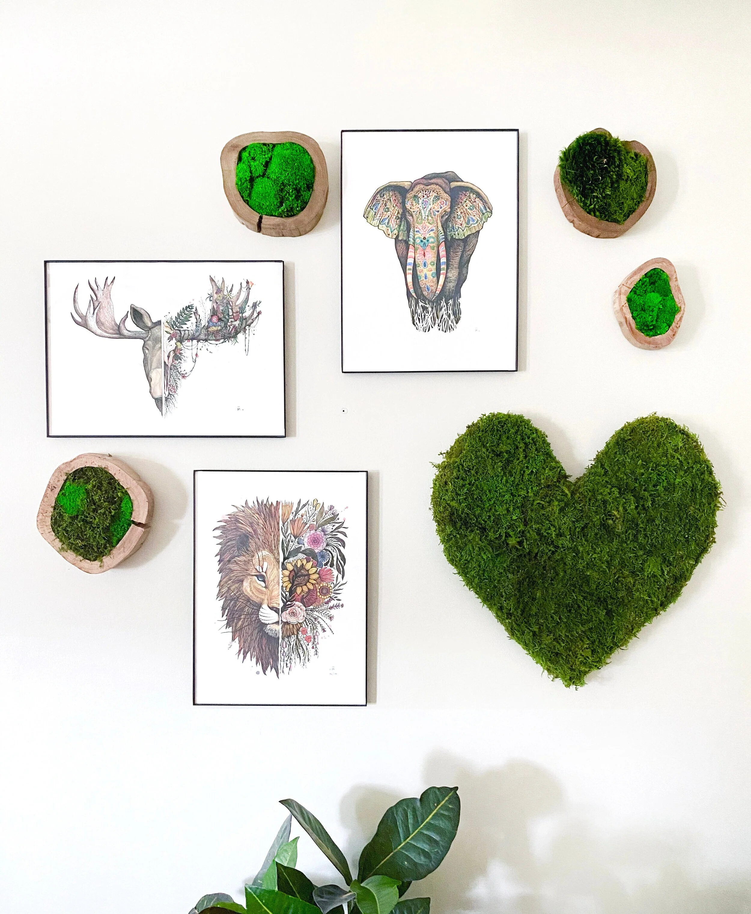 Moss+heart+with+dino.jpg