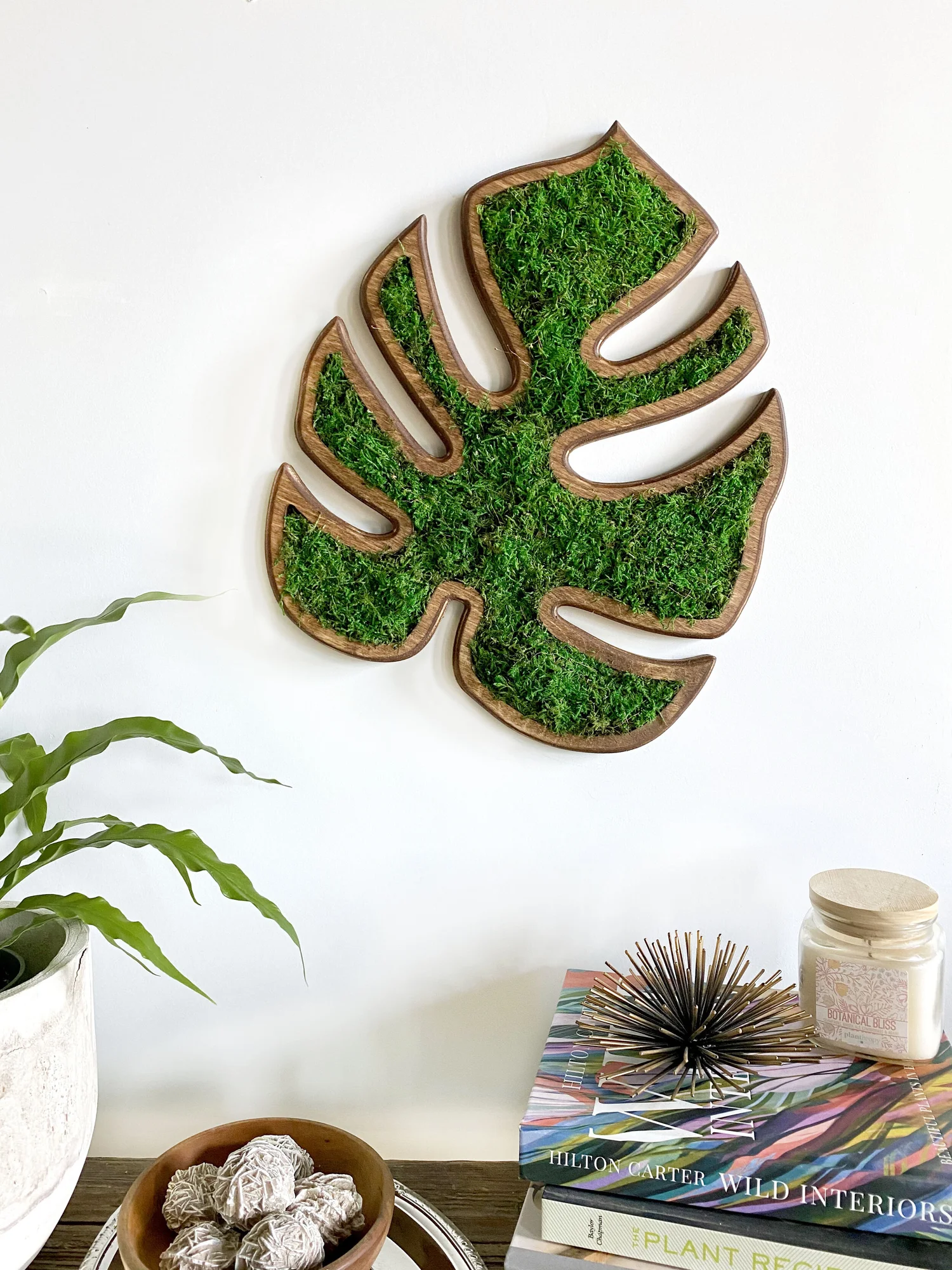 17" Moss Monstera Leaf, slightly imperfect  PLANTHROPY