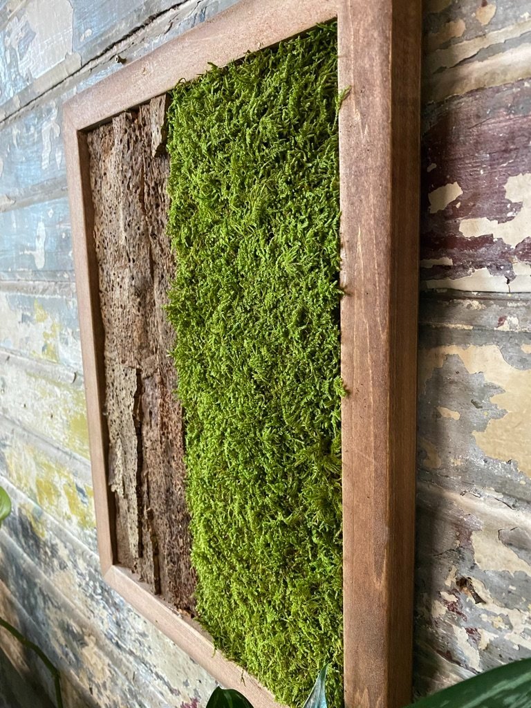 Moss Wall Art, Wood Frame, Moss Art Work, Moss Art, Preserved Moss Art. 