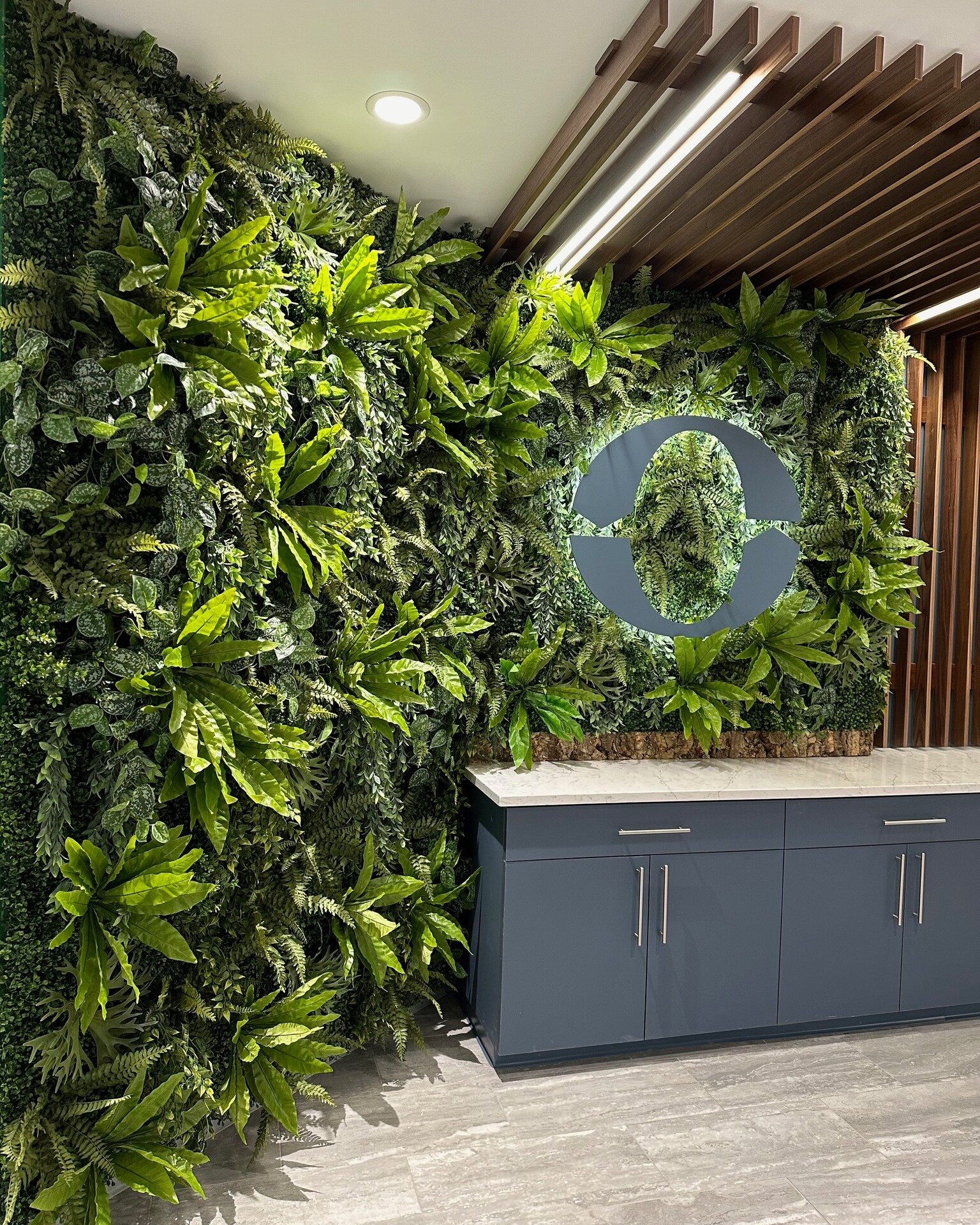 Where earthy vibes meet modern design. 

This replica green plant wall is complete with a backlit logo and bark base - also known as a &quot;barksplash!&quot; 
🌿

 #greenwall #interiorinspo #natureart #customdesign #interiorplantscape #replicaplantw