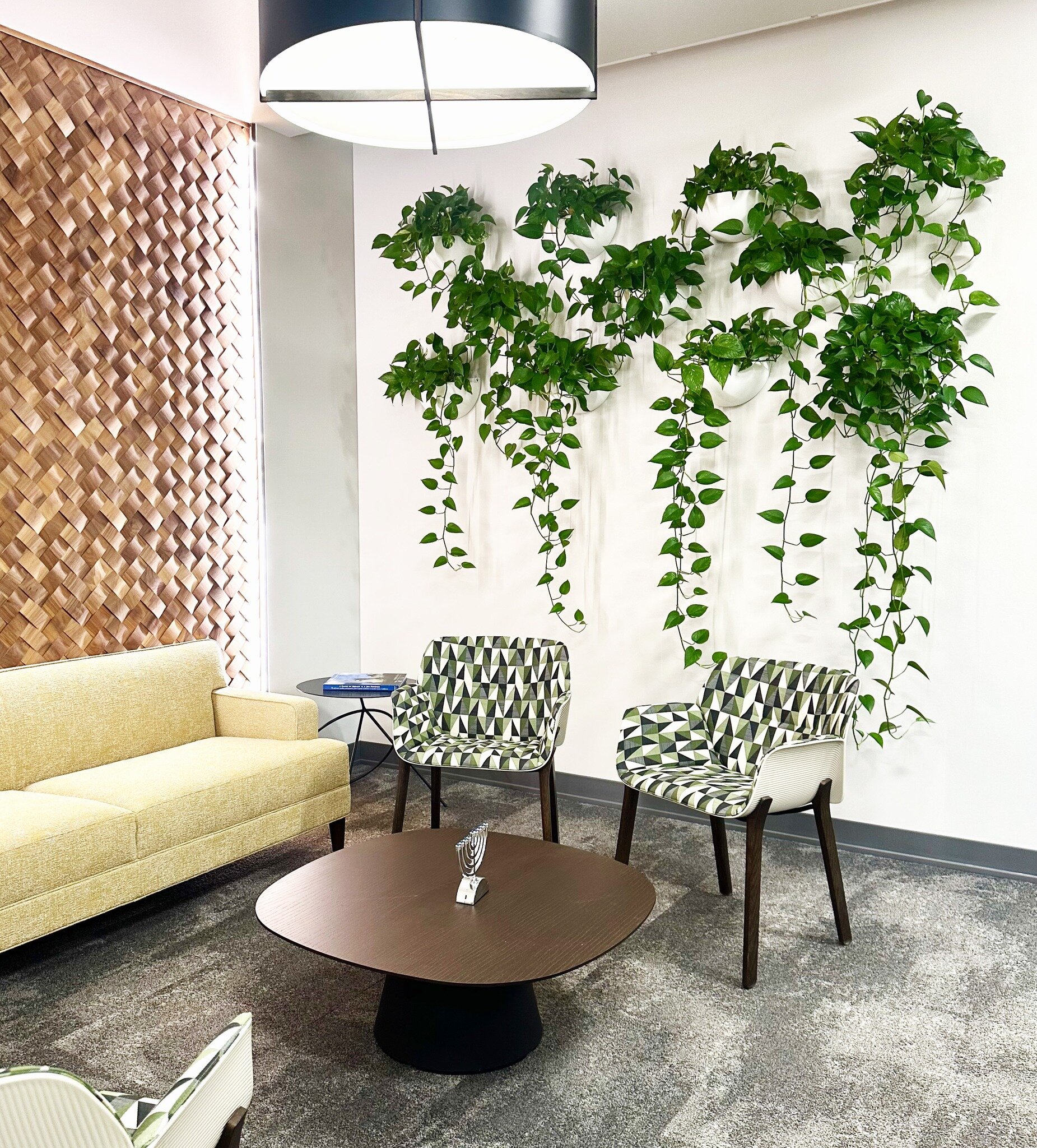 Our wall sconces are a great way to green up any area! We love watching the plants grow, evolve and create new designs as they mature.

#plant #pothos #plantlover #plantstagram
 #plantaddict #plantsofinstagram #interiorplant #interiorplanting #interi