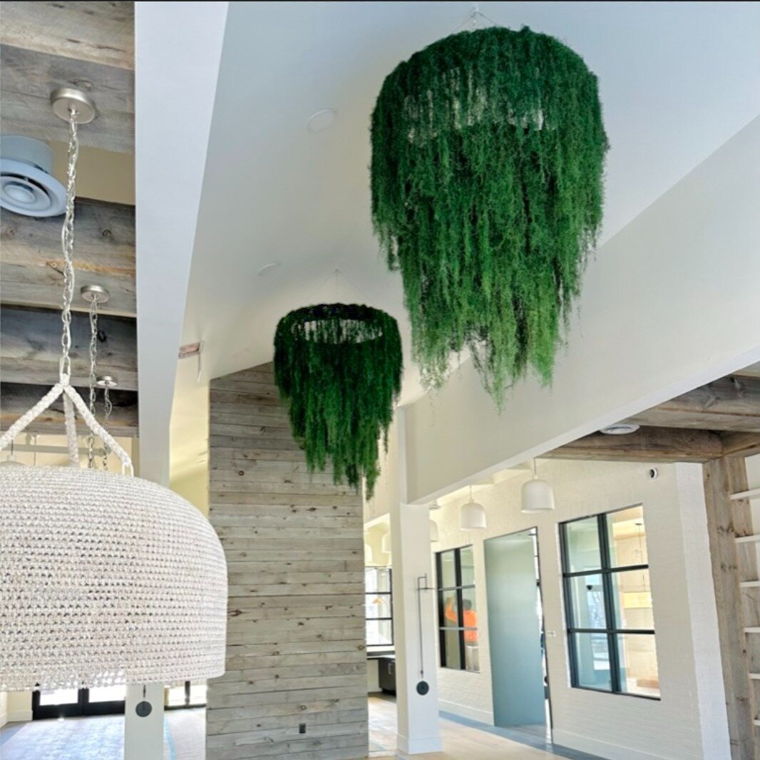 Big and beautiful; these 3-tiered spanish moss chandeliers are an impressive and unexpected feature that make this space soft and earthy. 

#chandelier #mosschandelier #plantelier #naturefeature #featureart #spanishmoss #interiordesign #plantdesgin #