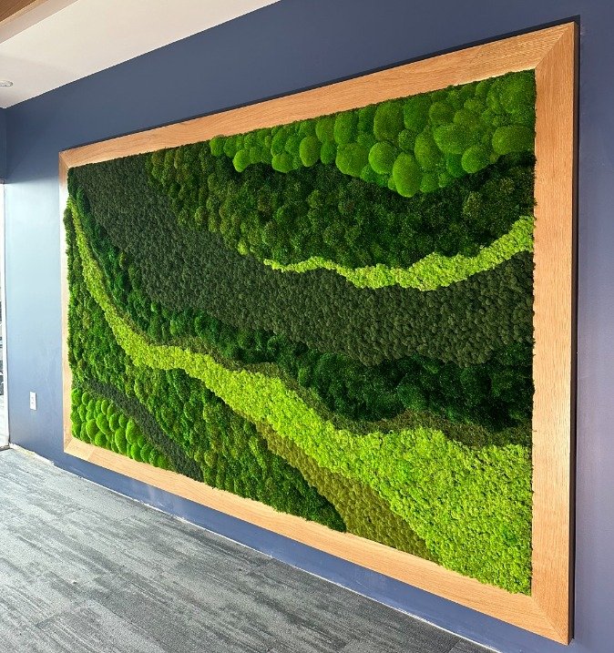 Clean lines, movement and a variety of contrasting moss types make this beautiful wall mesmerizing and calming. 🌿

#mosswall #moss #greenwall #plantwall #verticlewall #plantdesign #plantart #featurewall #interiordesign #interiorplantscape #plantscap