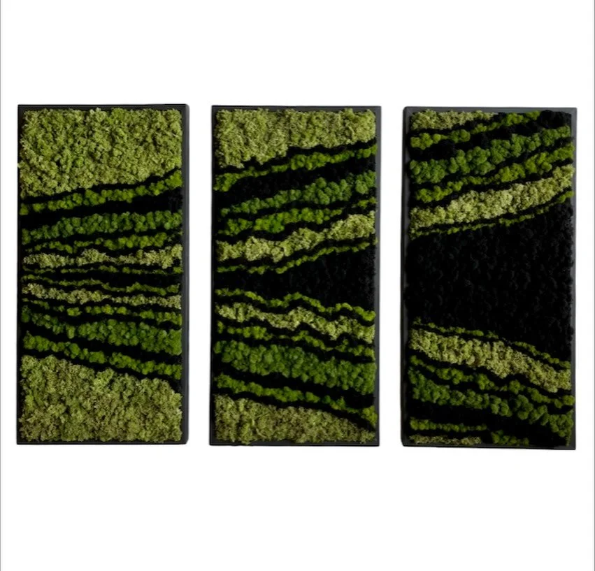 Meet your new favorite nature art, thoughtfully curated and handmade by Team Planthropy. From organic and earthy to clean and modern; our moss Nature Frames come in colors, patterns and sizes for every style and space. Maintenance-free and zero upkee